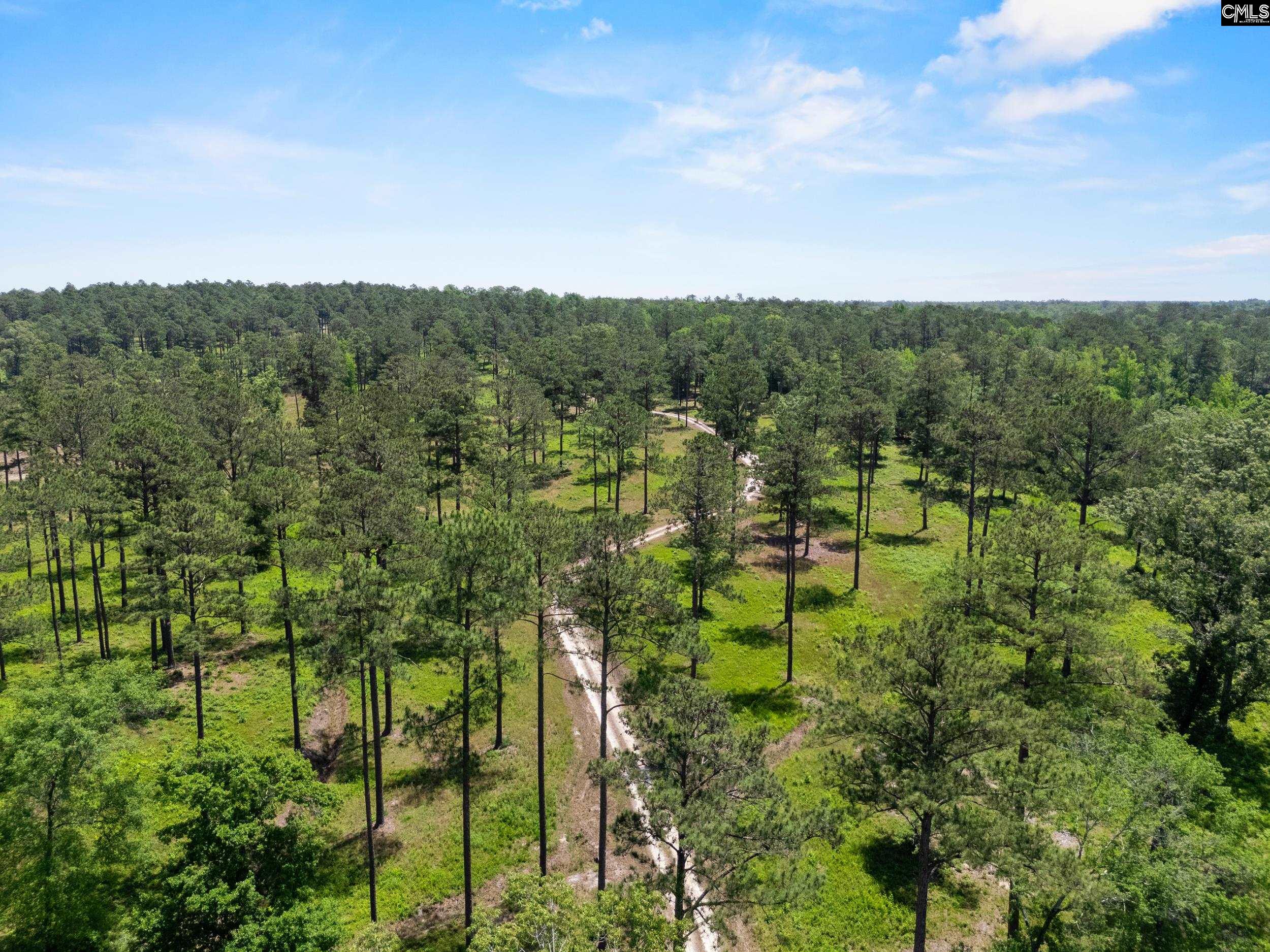 1626 Sumter Highway Lot 2