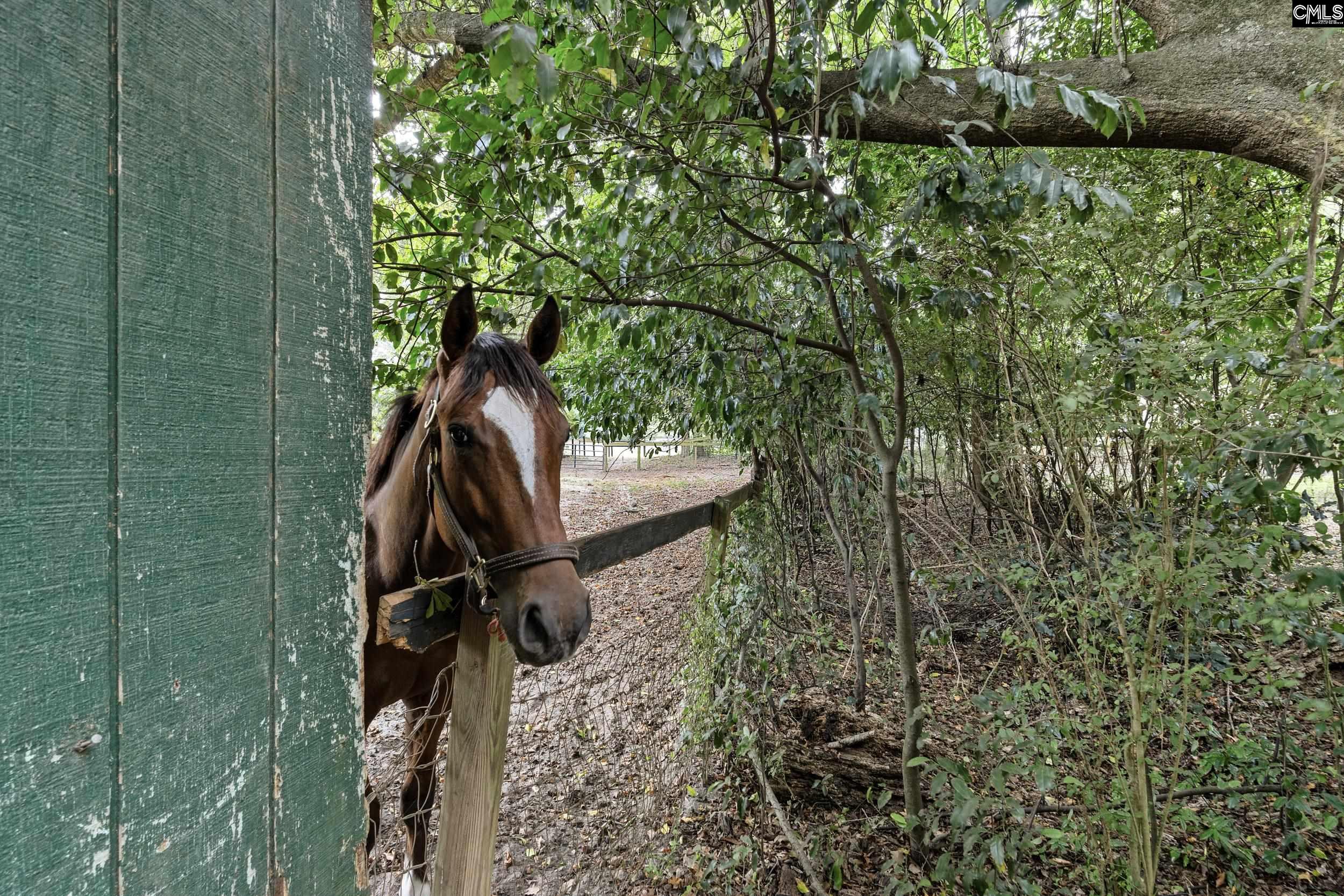 2224 Carter Street Tract C