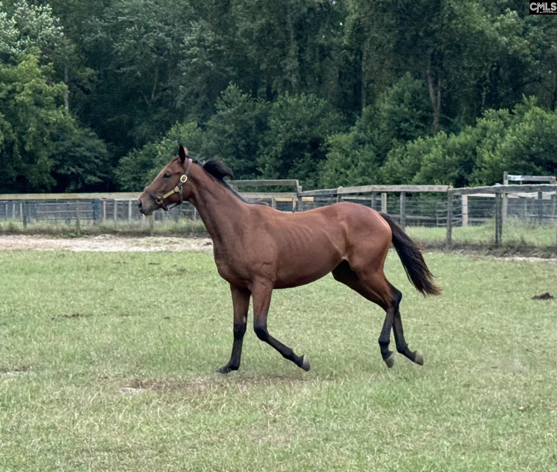 2224 Carter Street Tract C