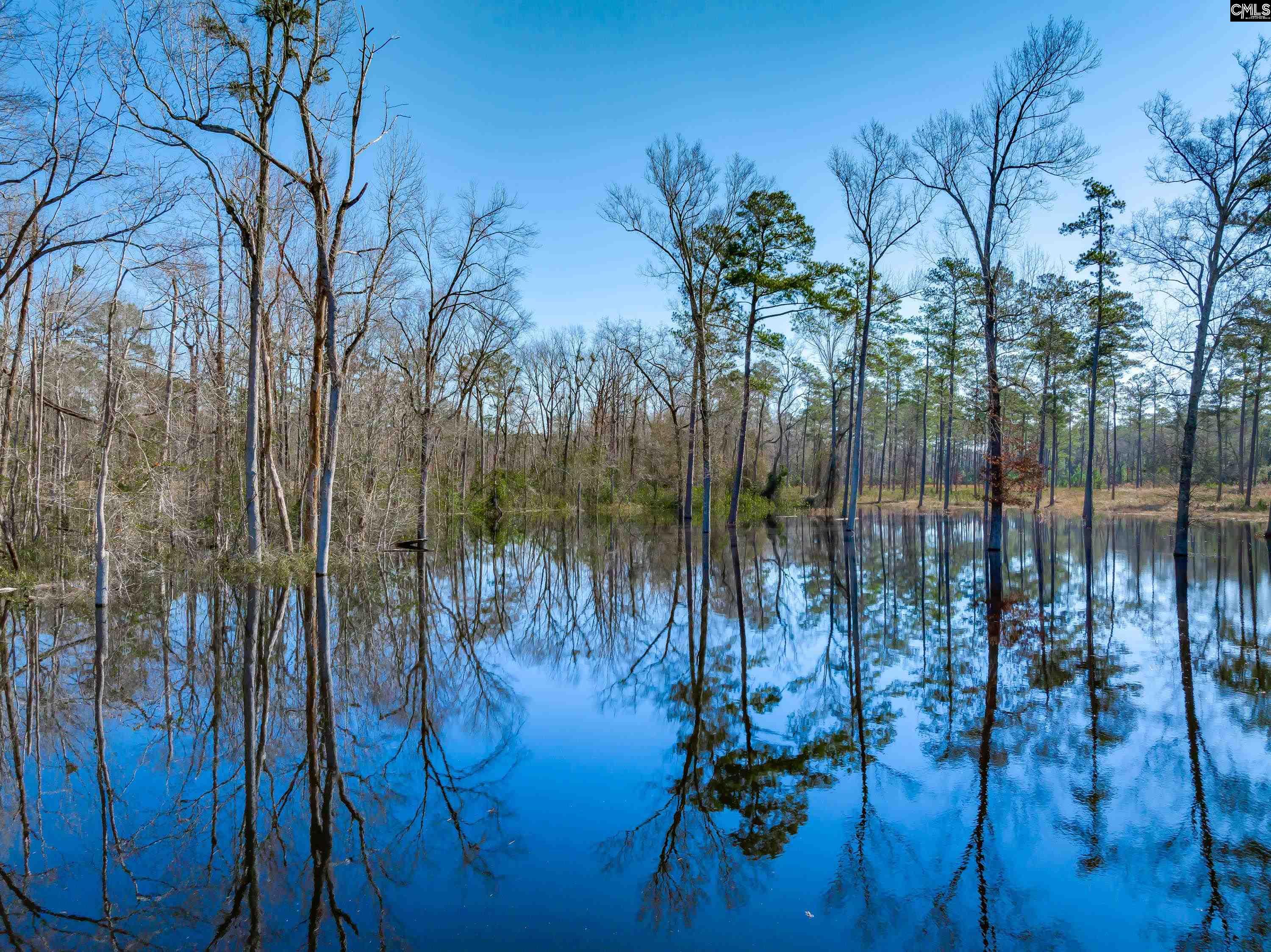 1626-01 Sumter Highway Unit: Lot 1