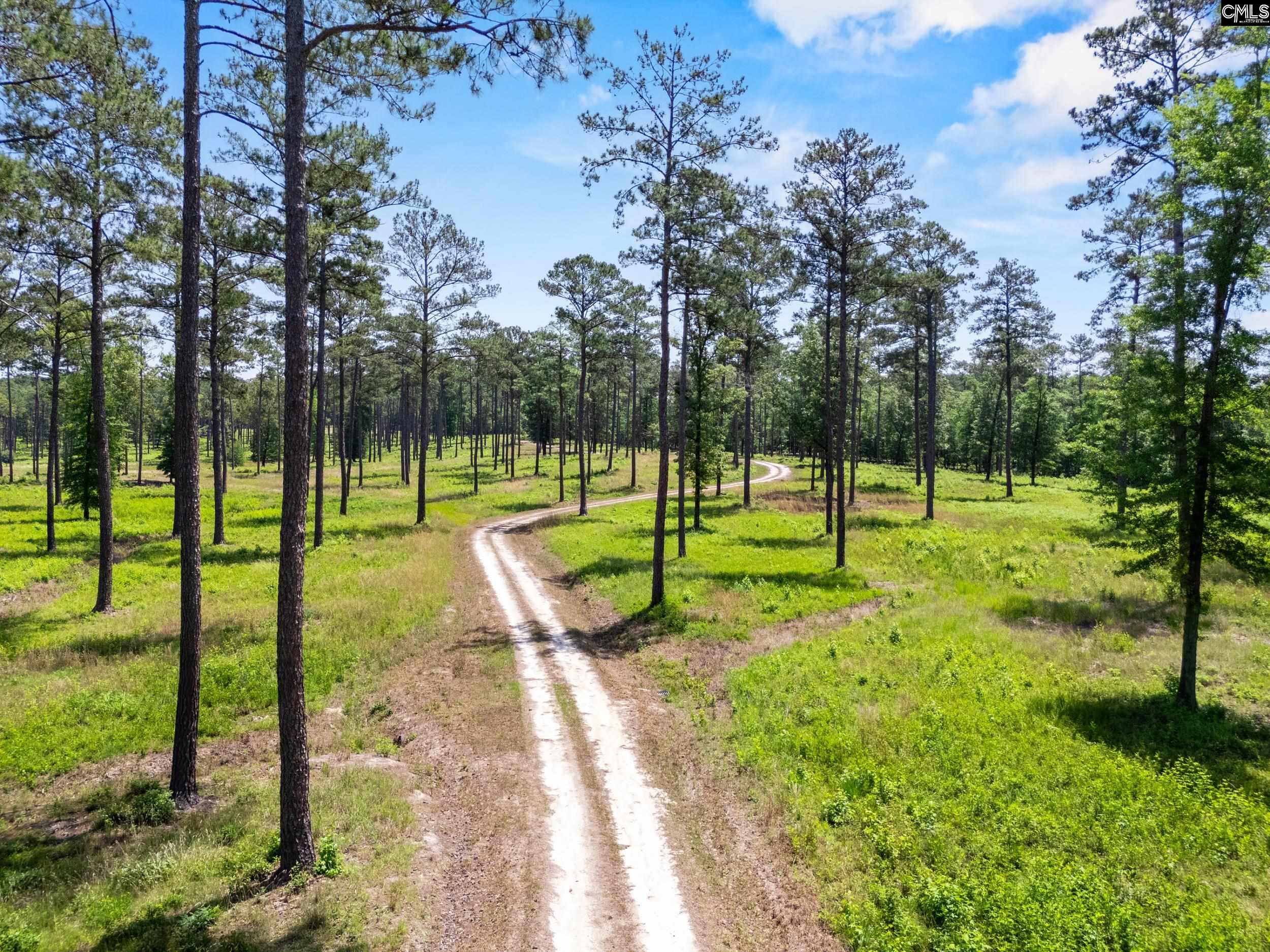 1626-01 Sumter Highway Unit: Lot 1