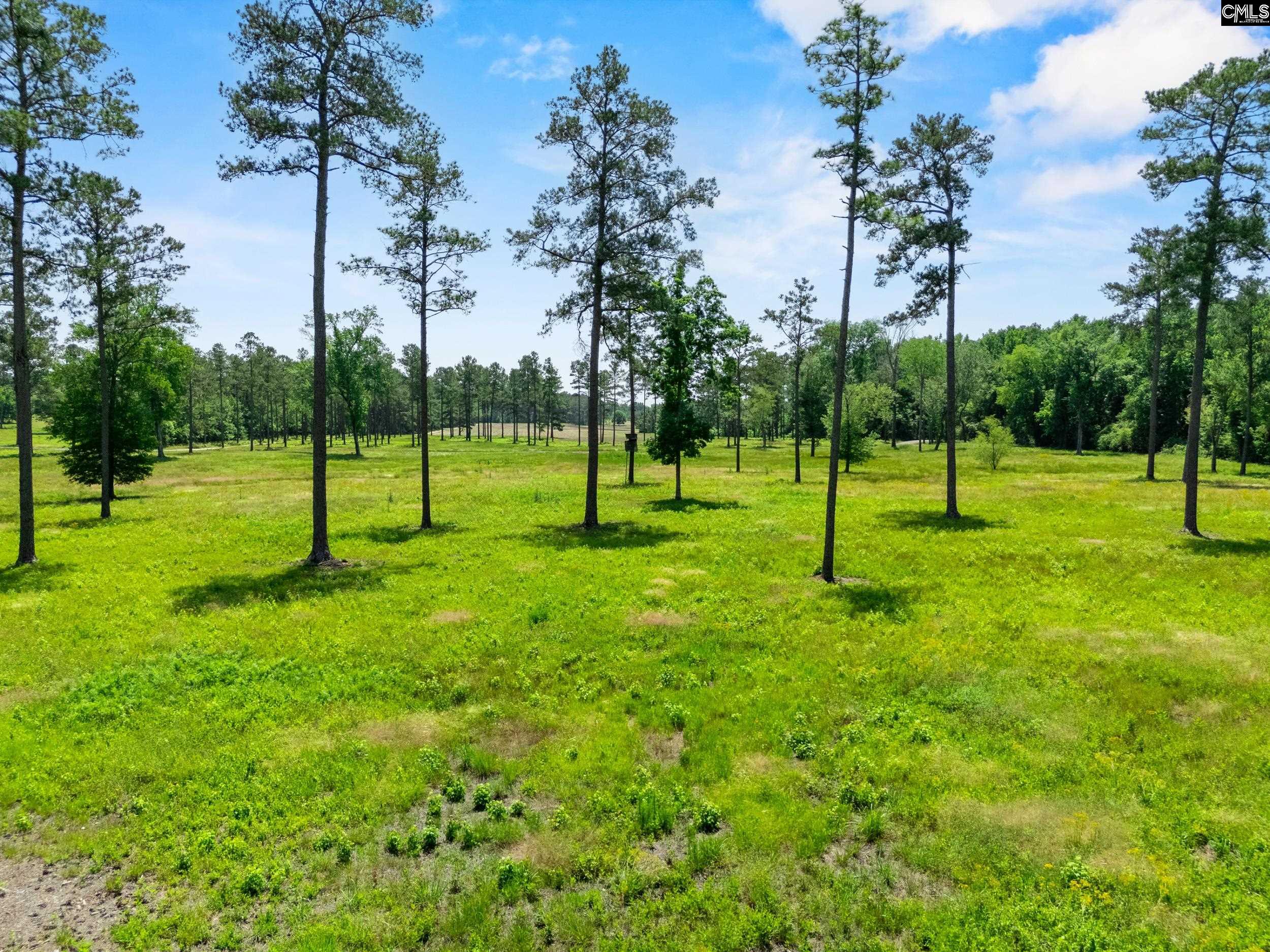 1626-01 Sumter Highway Unit: Lot 1