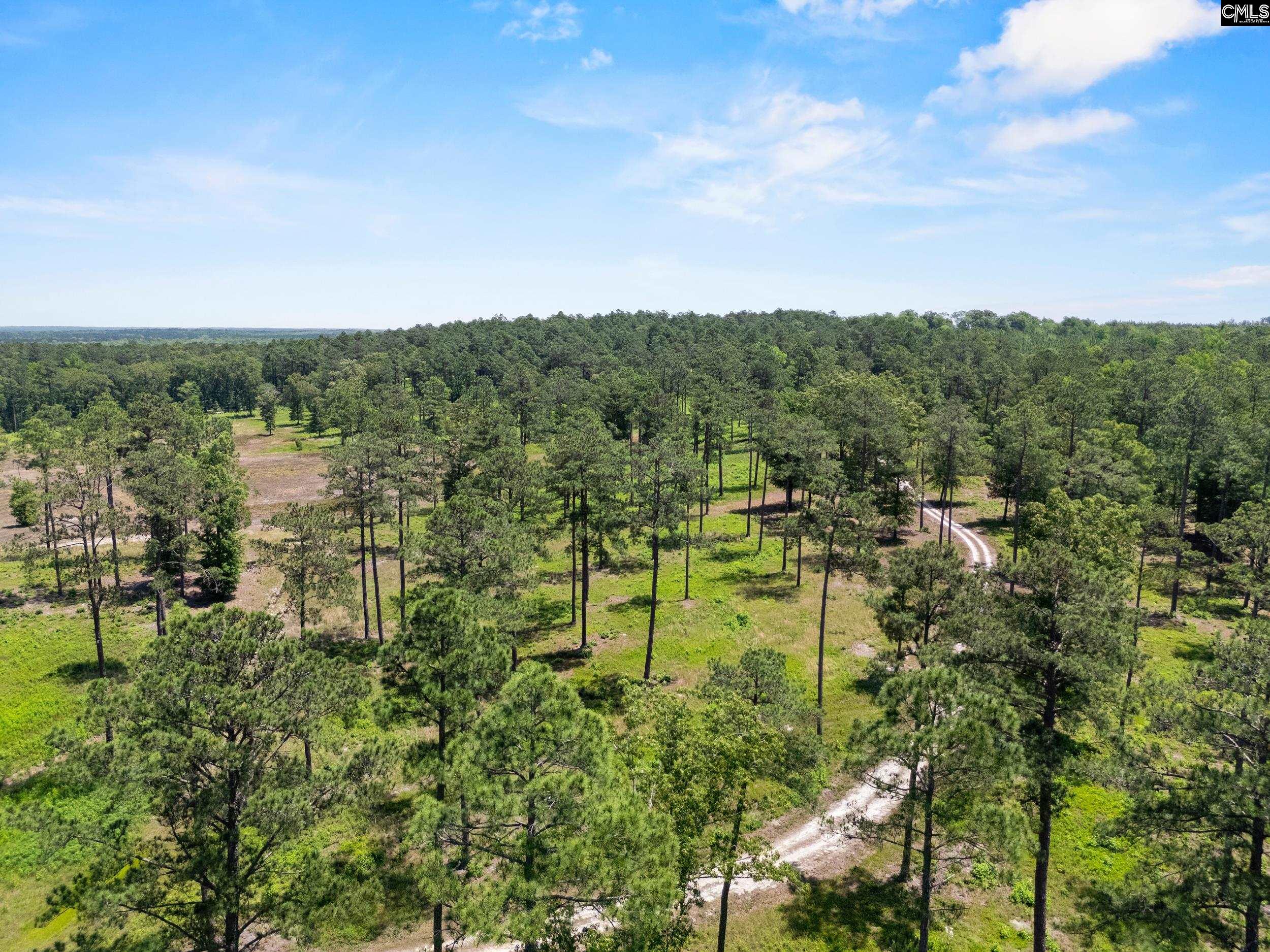 1626-01 Sumter Highway Unit: Lot 1