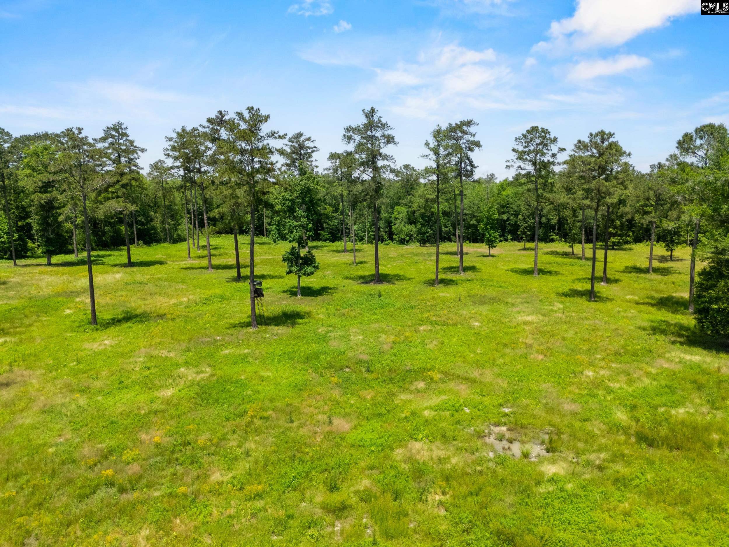 1626-01 Sumter Highway Unit: Lot 1