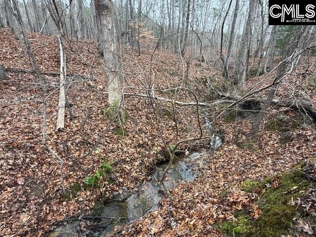 1058 Hinson Branch Road Unit: 1