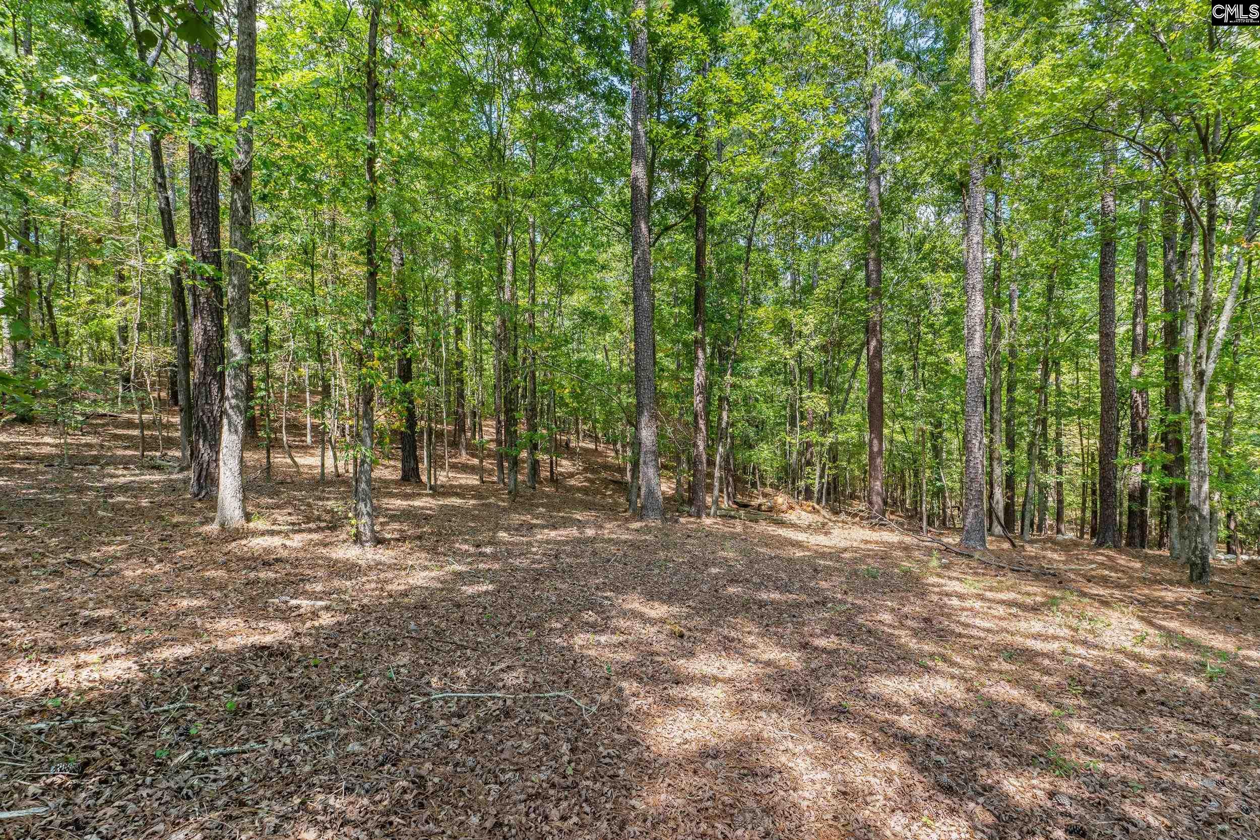 1249 Screech Owl Road