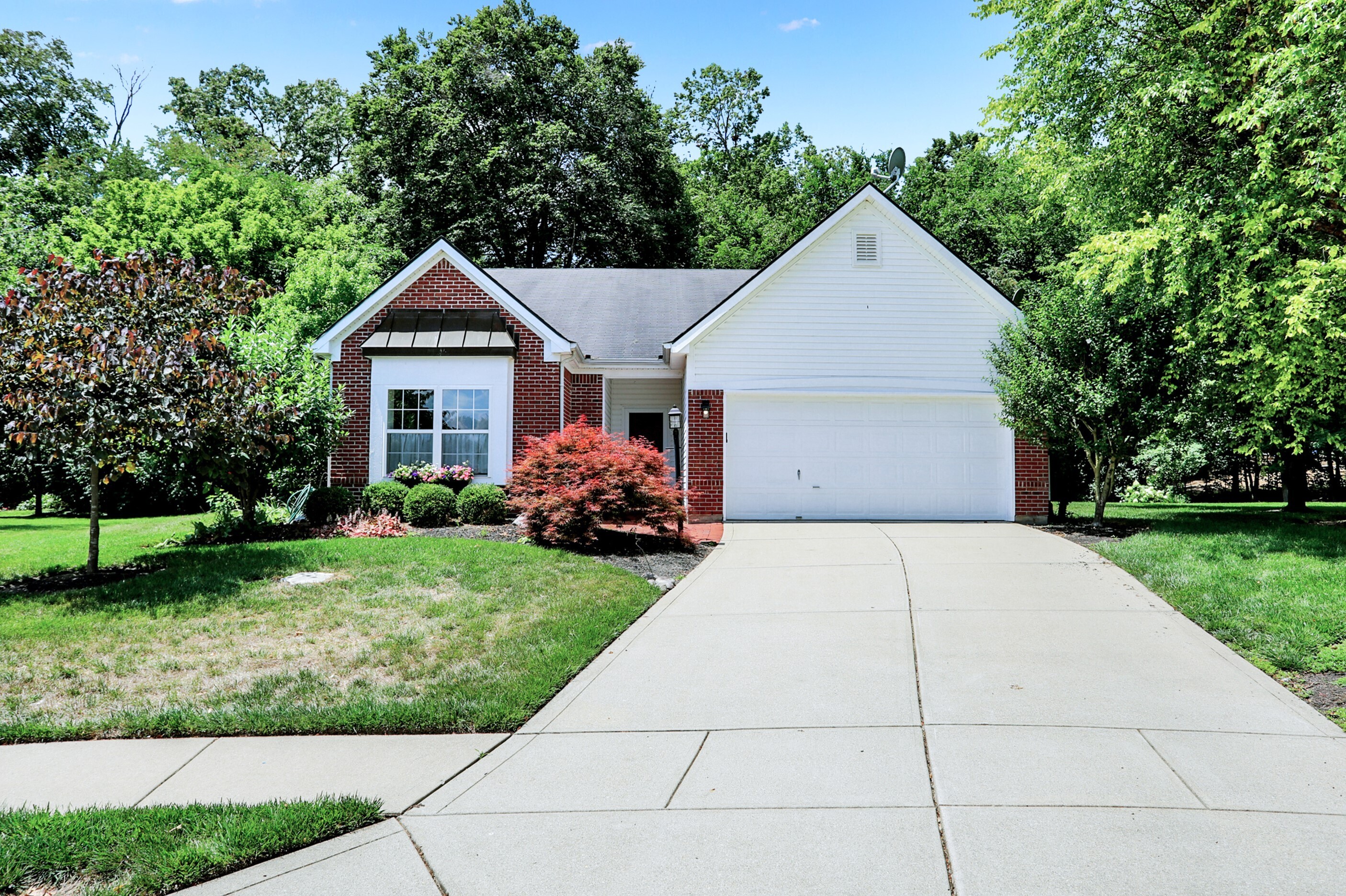 5841 Hornbean Court