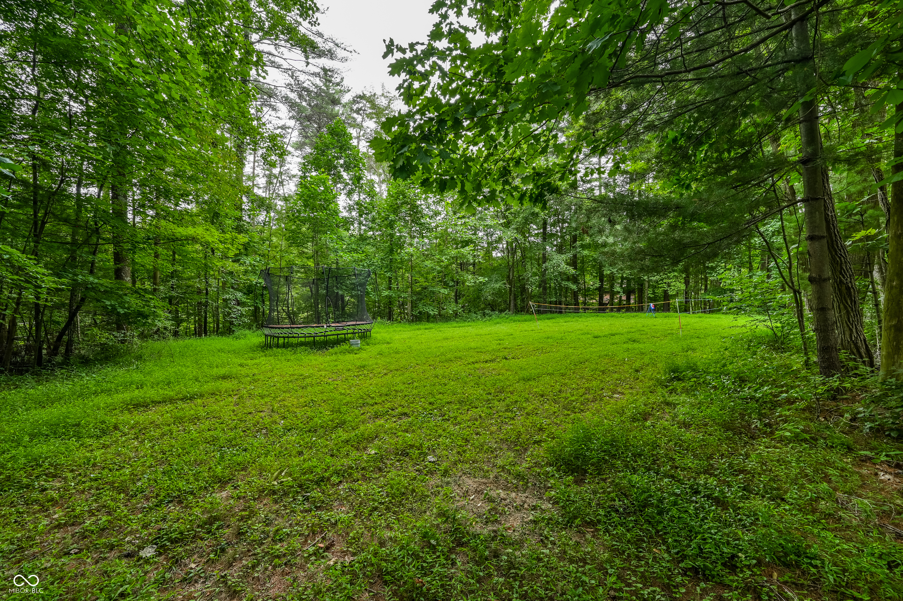 5994 Pine Tree Lane