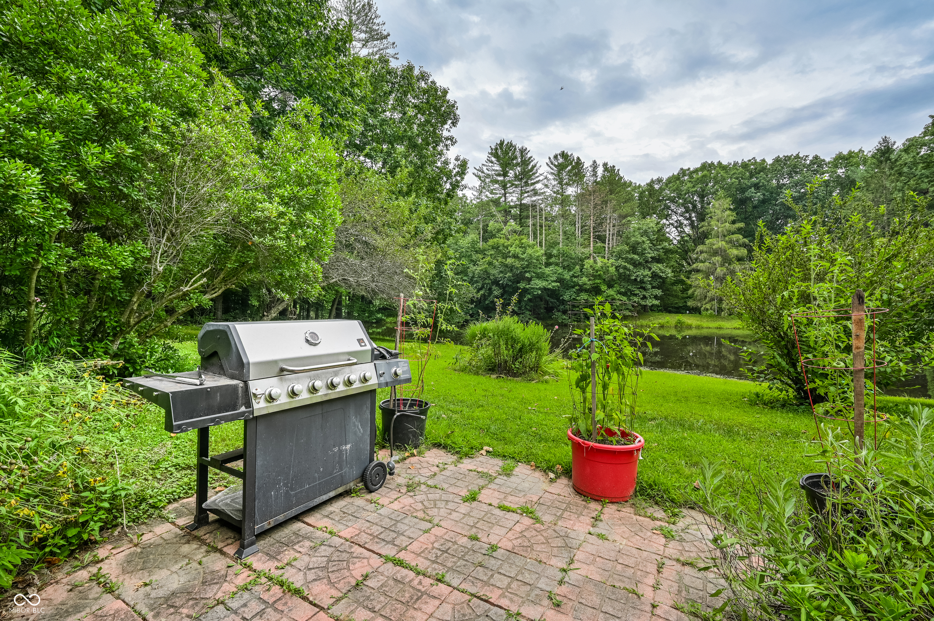 5994 Pine Tree Lane