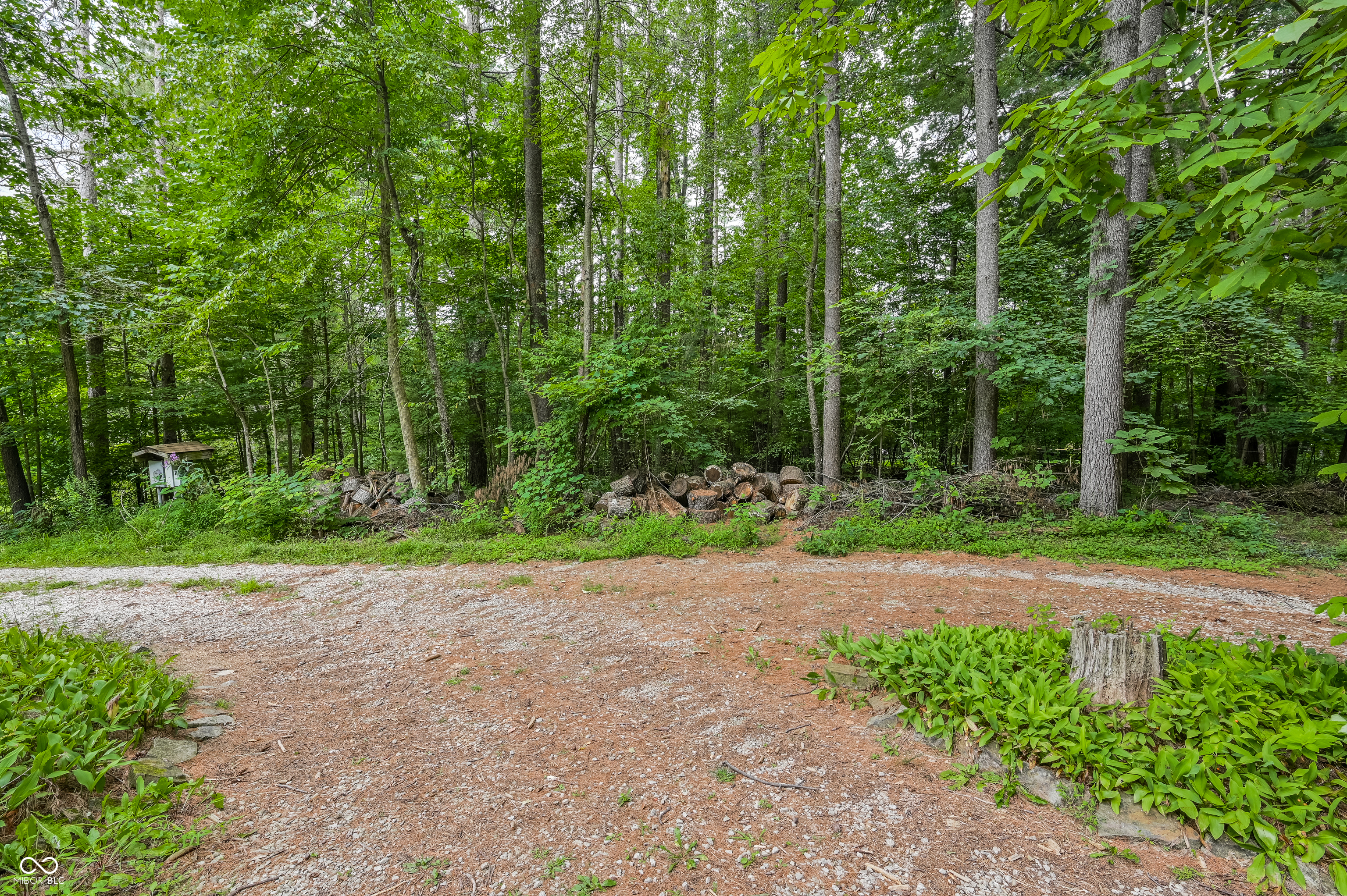 5994 Pine Tree Lane
