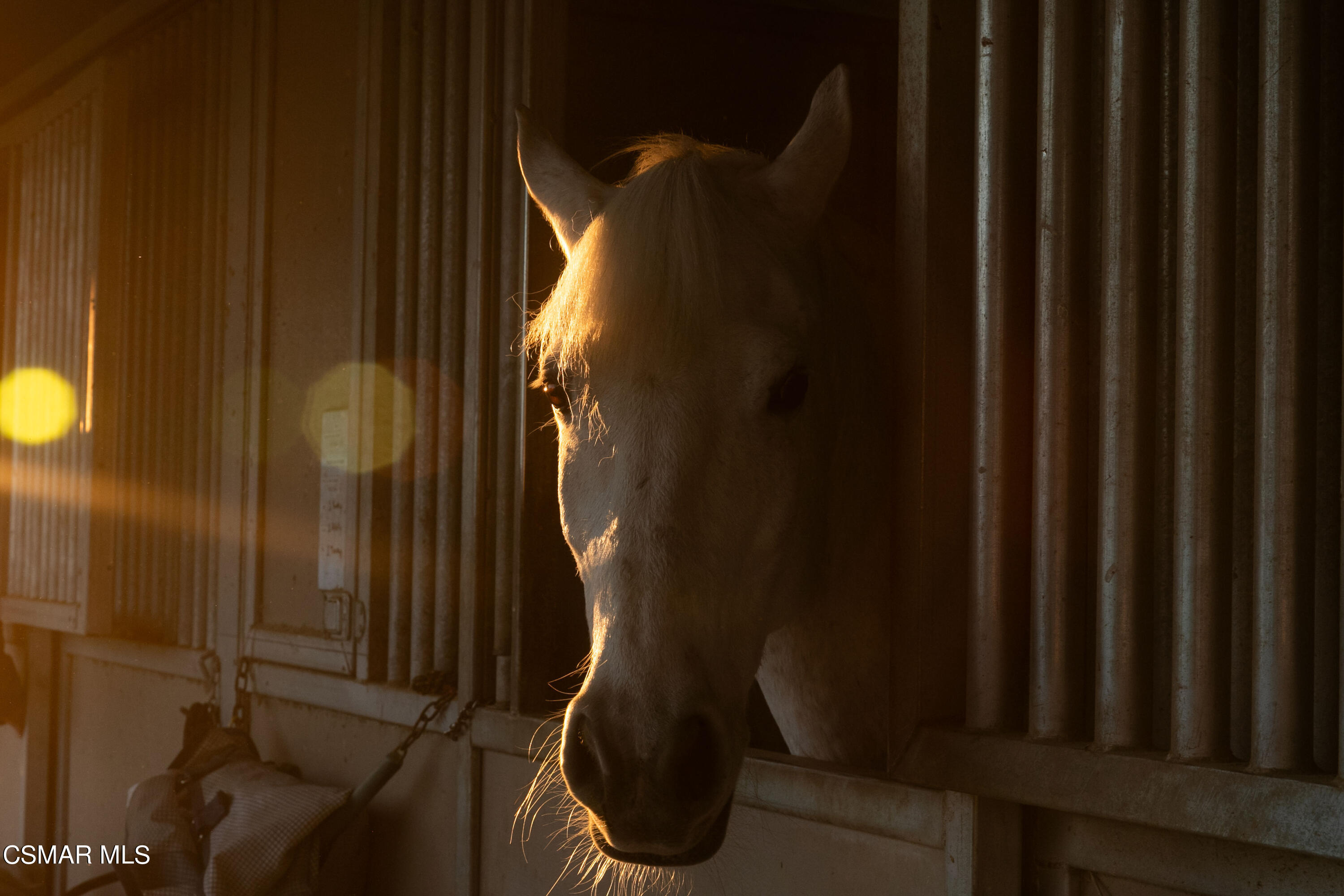 1451 E La Loma Avenue