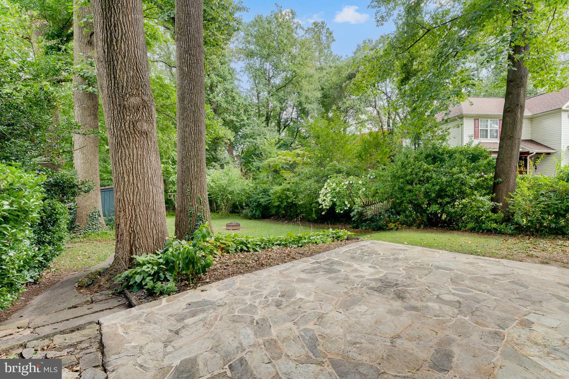 1103 Saint Albans Rd