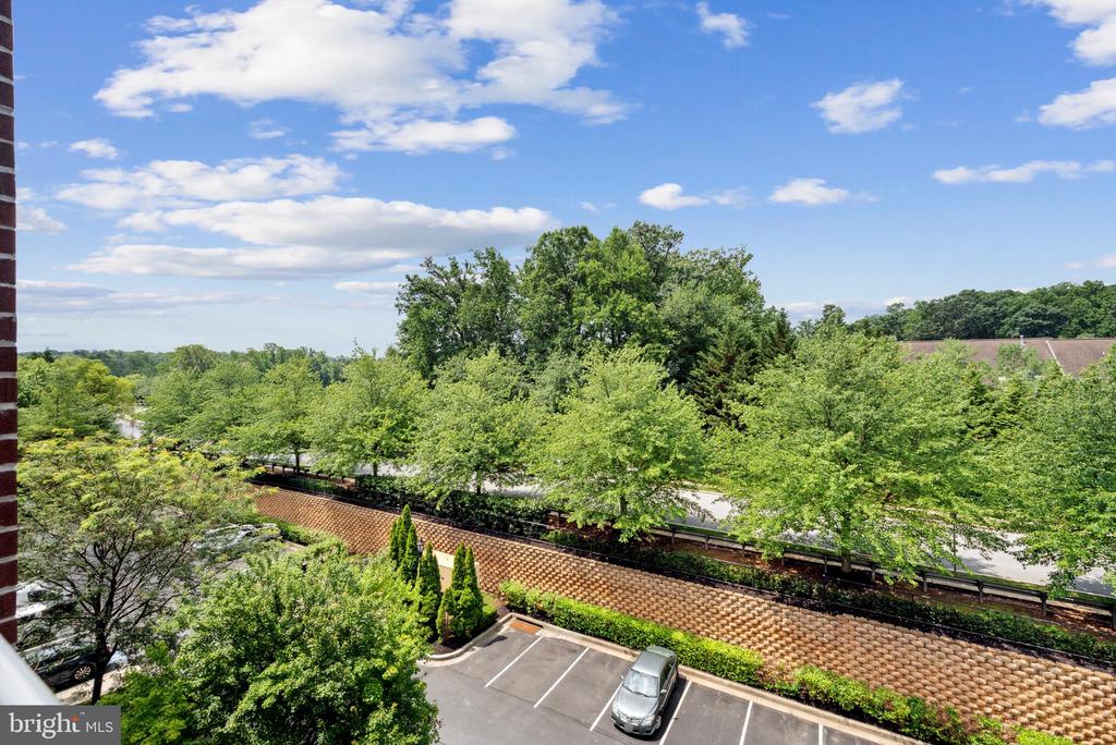 12251 ROUNDWOOD ROAD 407