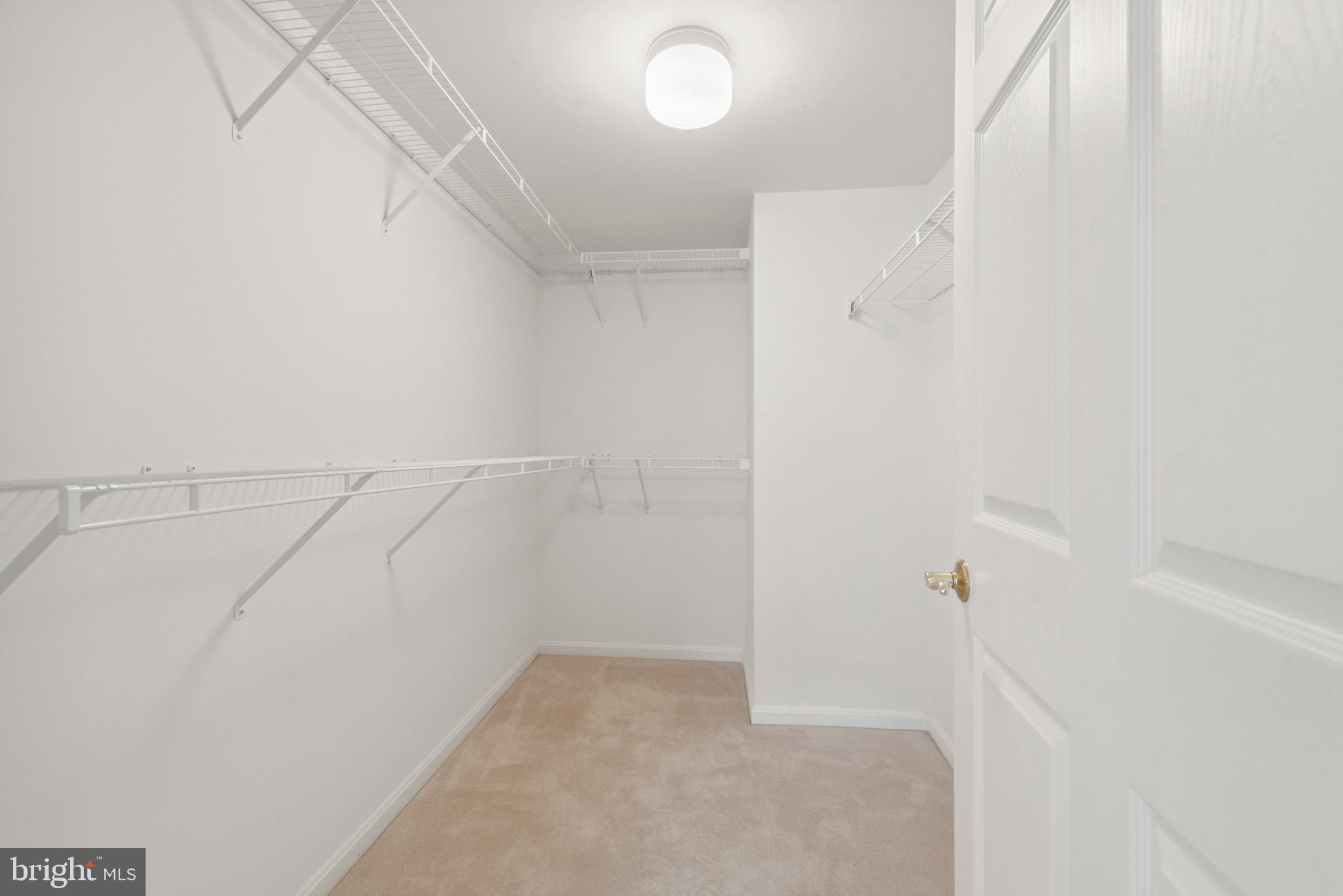 12251 ROUNDWOOD ROAD 407