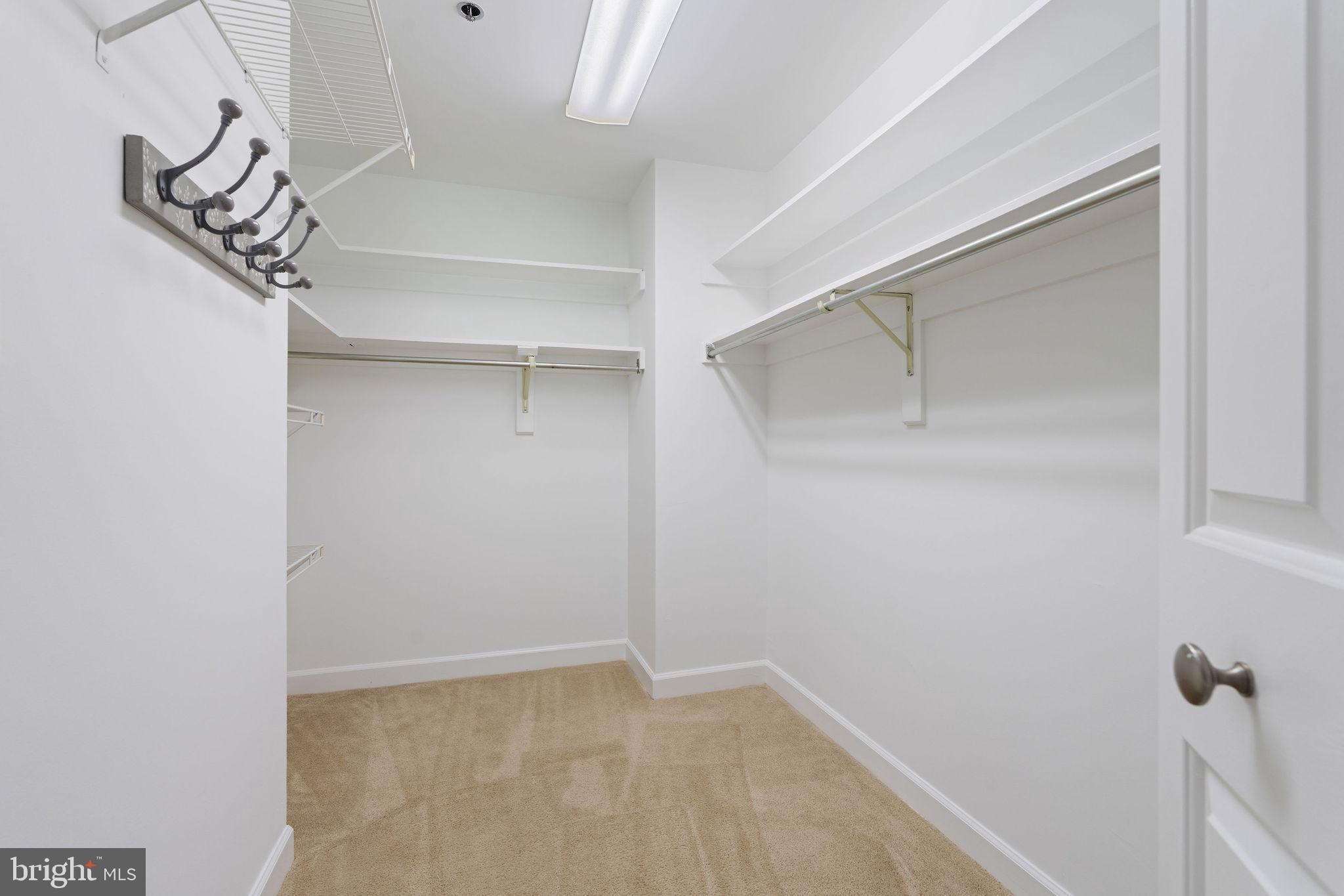 3 SOUTHERLY COURT 505