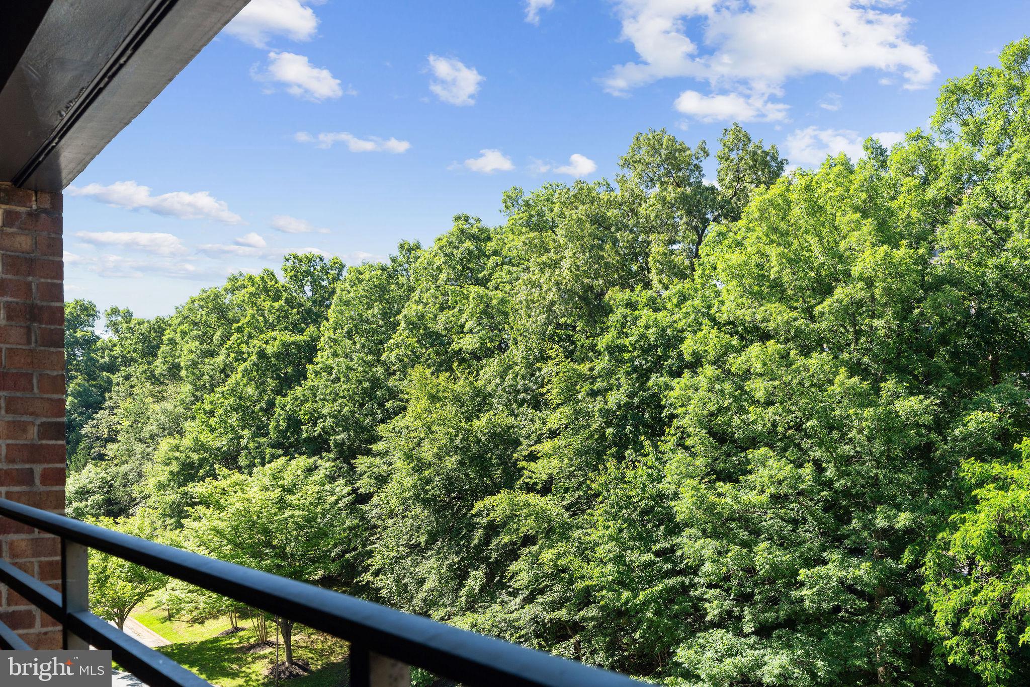3 SOUTHERLY COURT 505