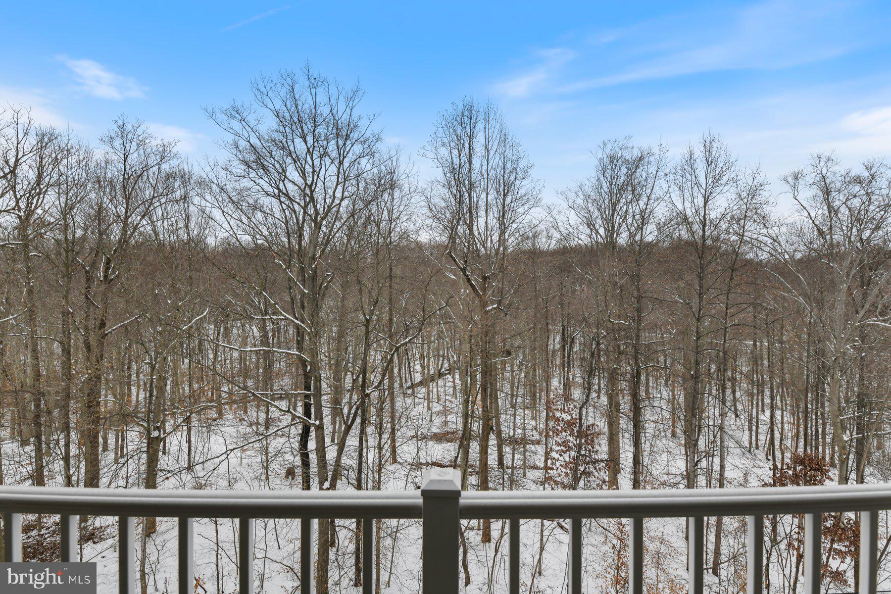 634 Wallingford ROAD Unit: 4F