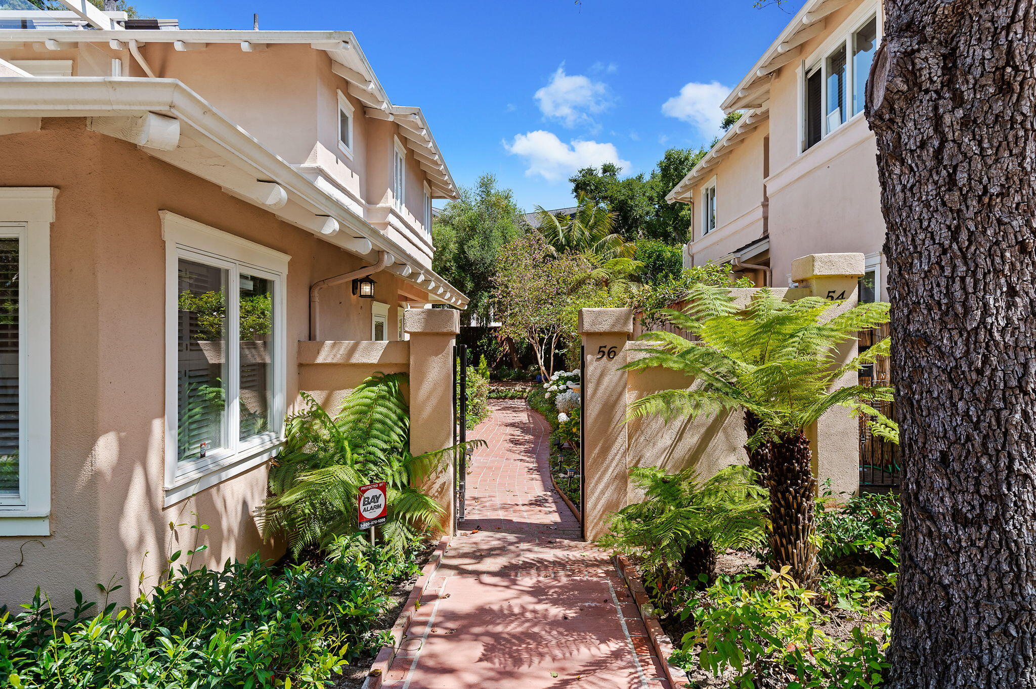 56 Olive Mill Road