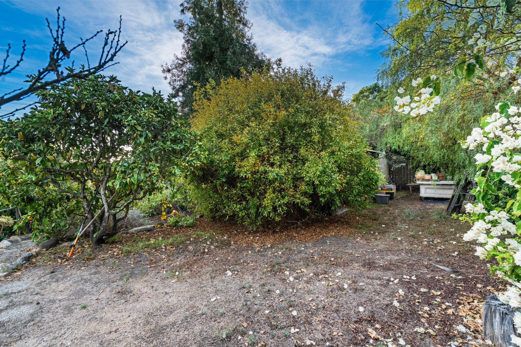 1702 Cliff Drive