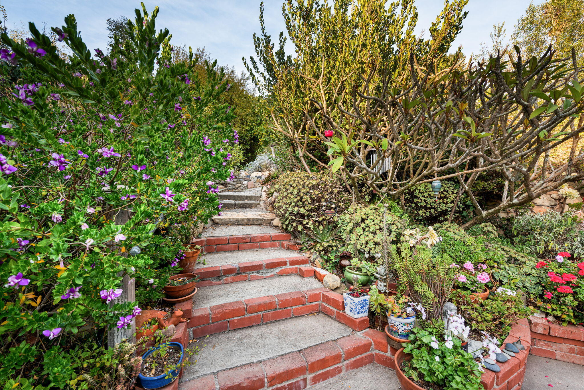 1702 Cliff Drive