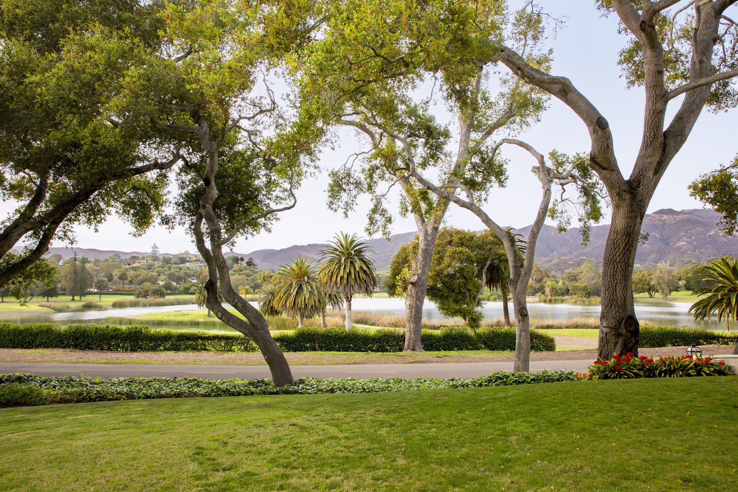 4045 Lago Drive