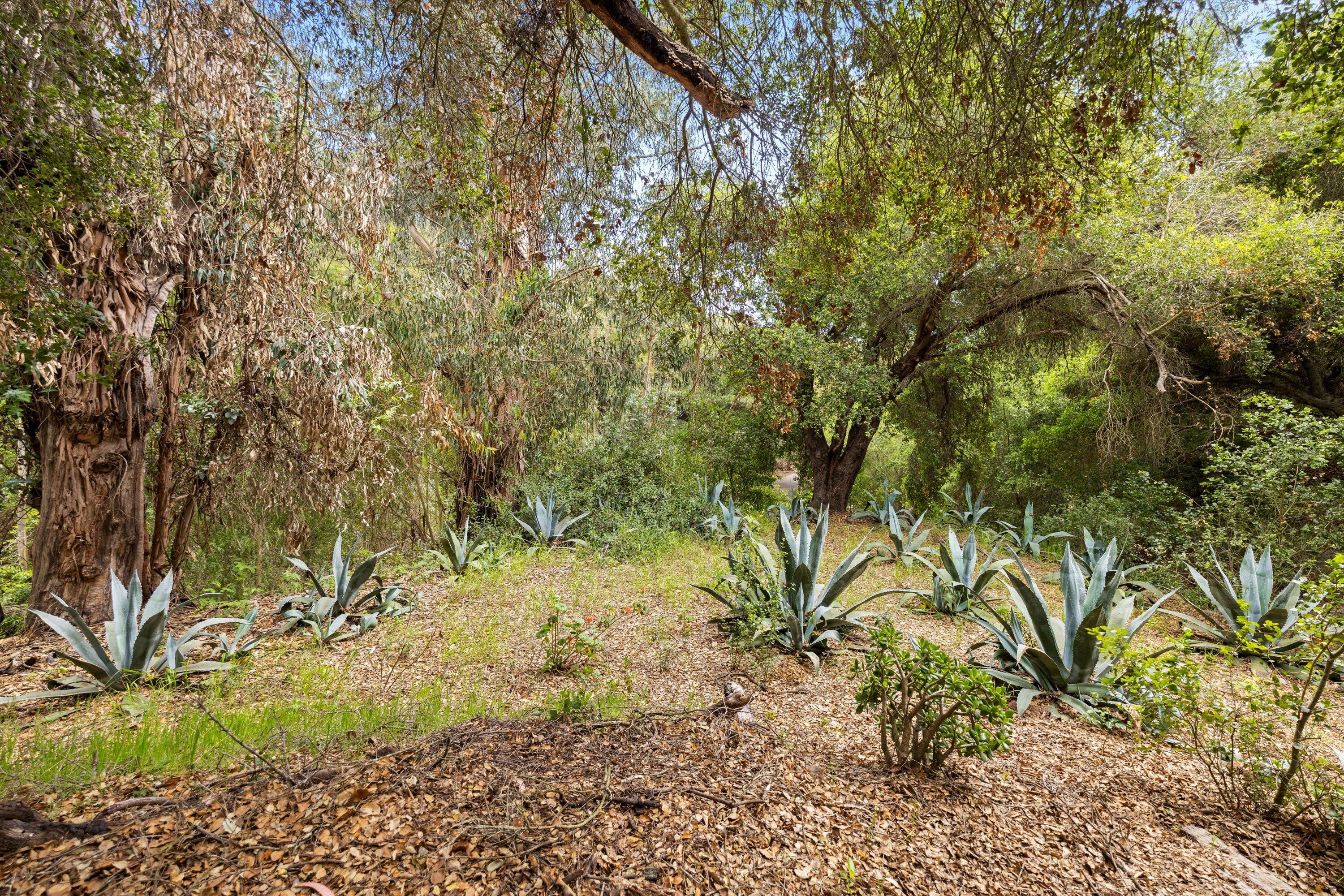 1697 San Roque Road
