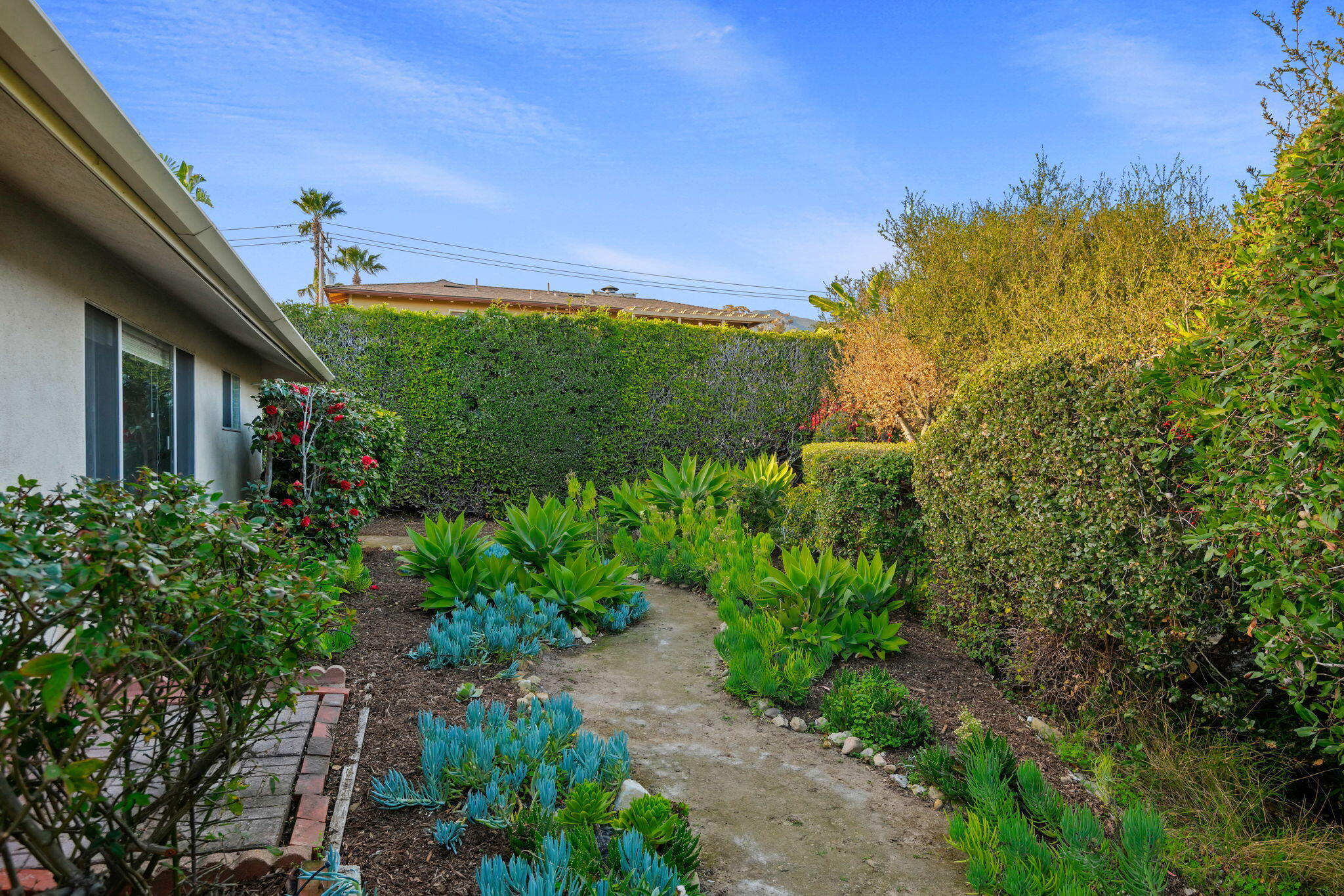 3199 Lucinda Lane