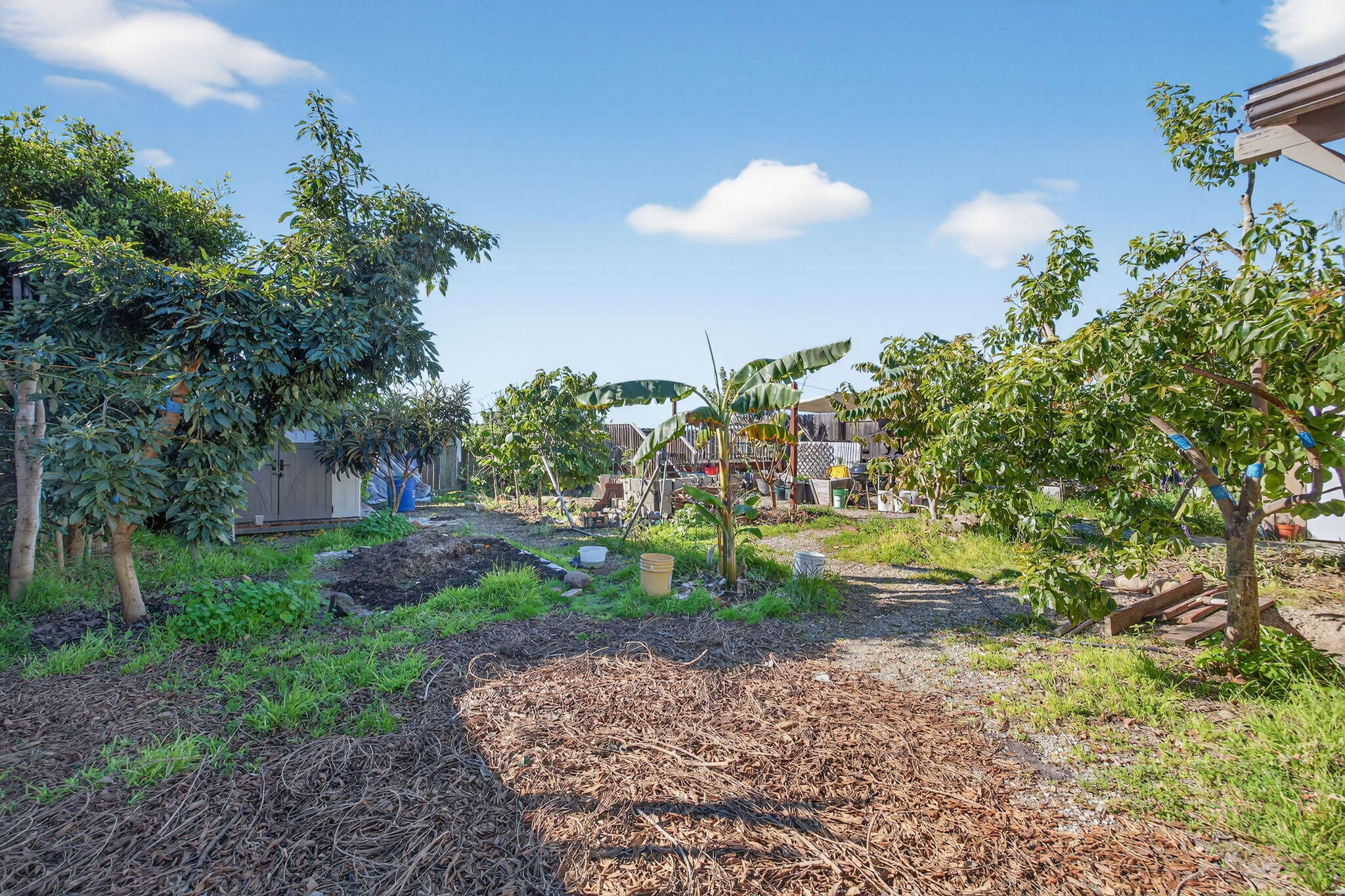 4213 Carpinteria Avenue