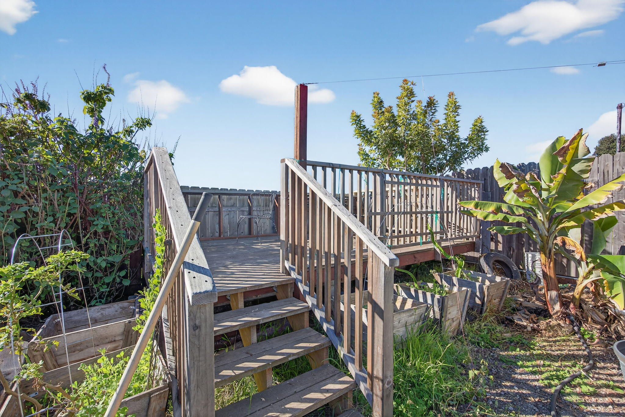 4213 Carpinteria Avenue