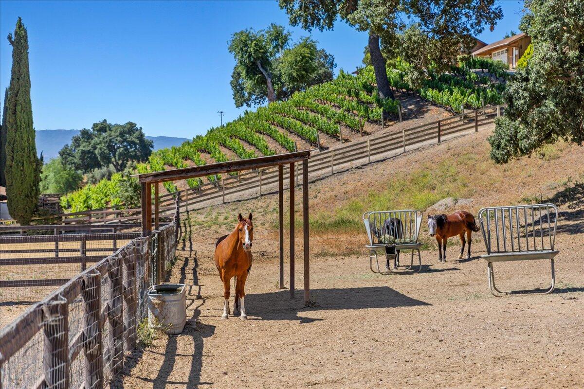 2279 Alamo Pintado Road