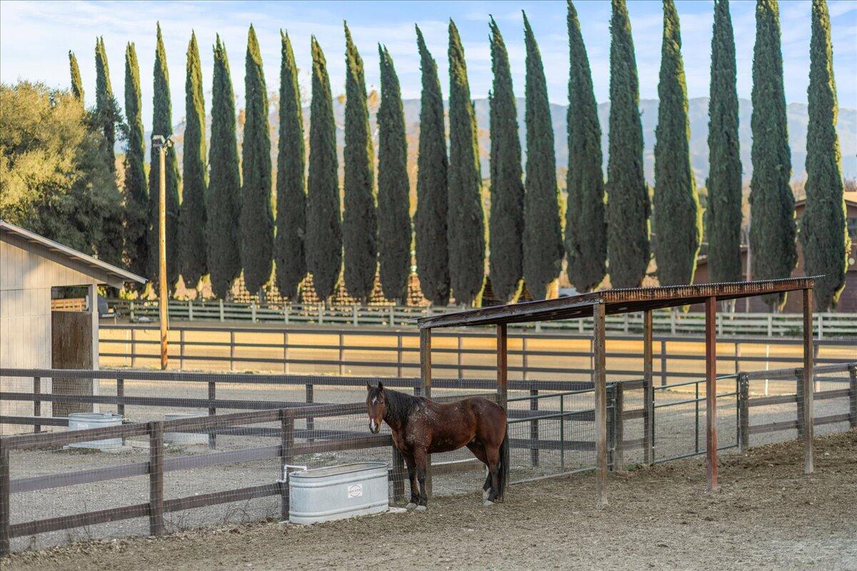 2279 Alamo Pintado Road