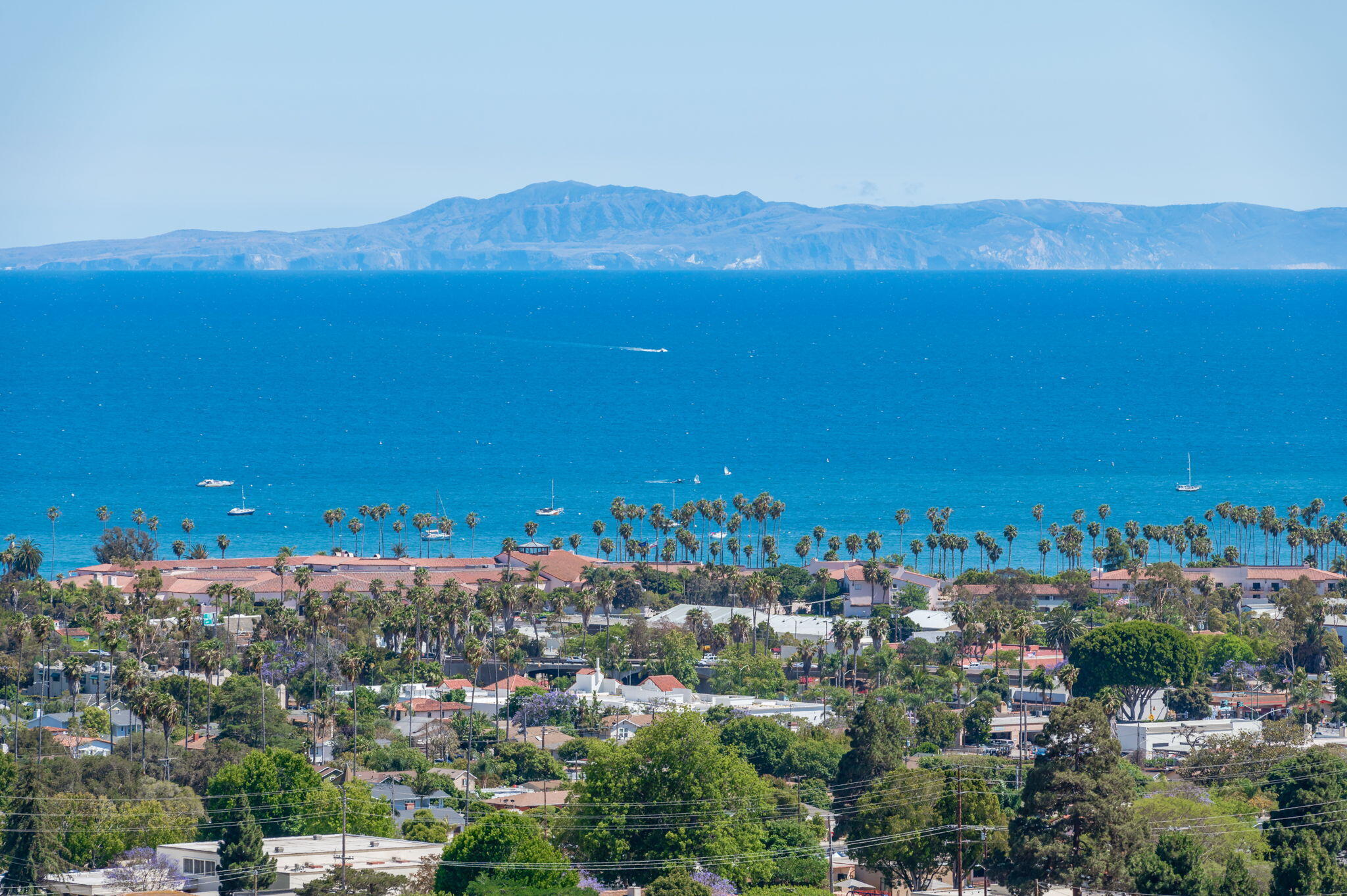 Santa Barbara coastline with palm-lined homes, sailboats, and mountains across the blue ocean.