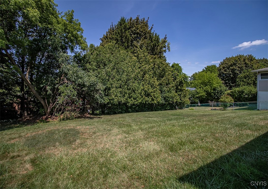 245 Mountainview Avenue