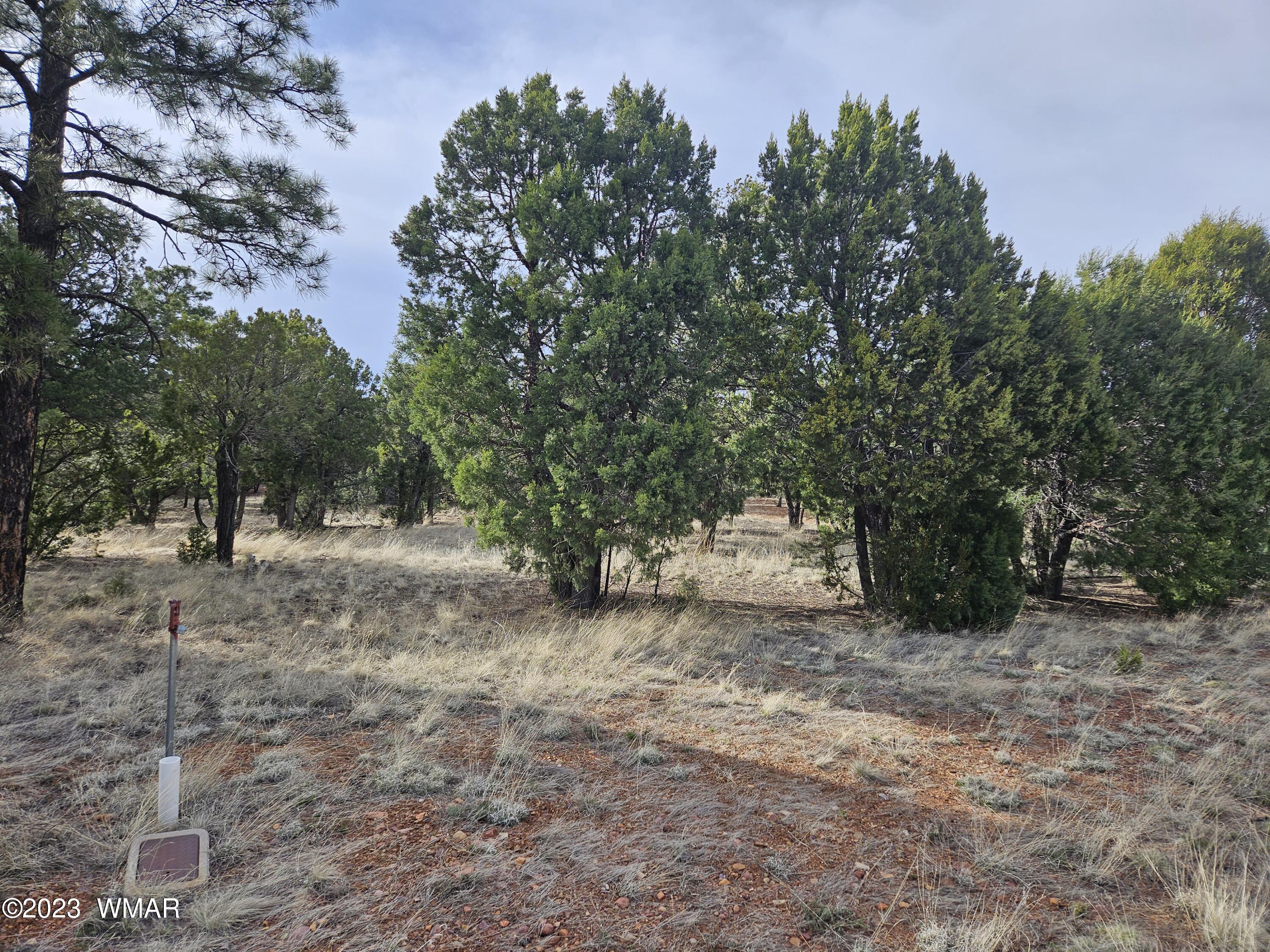 2870 Constellation Lane