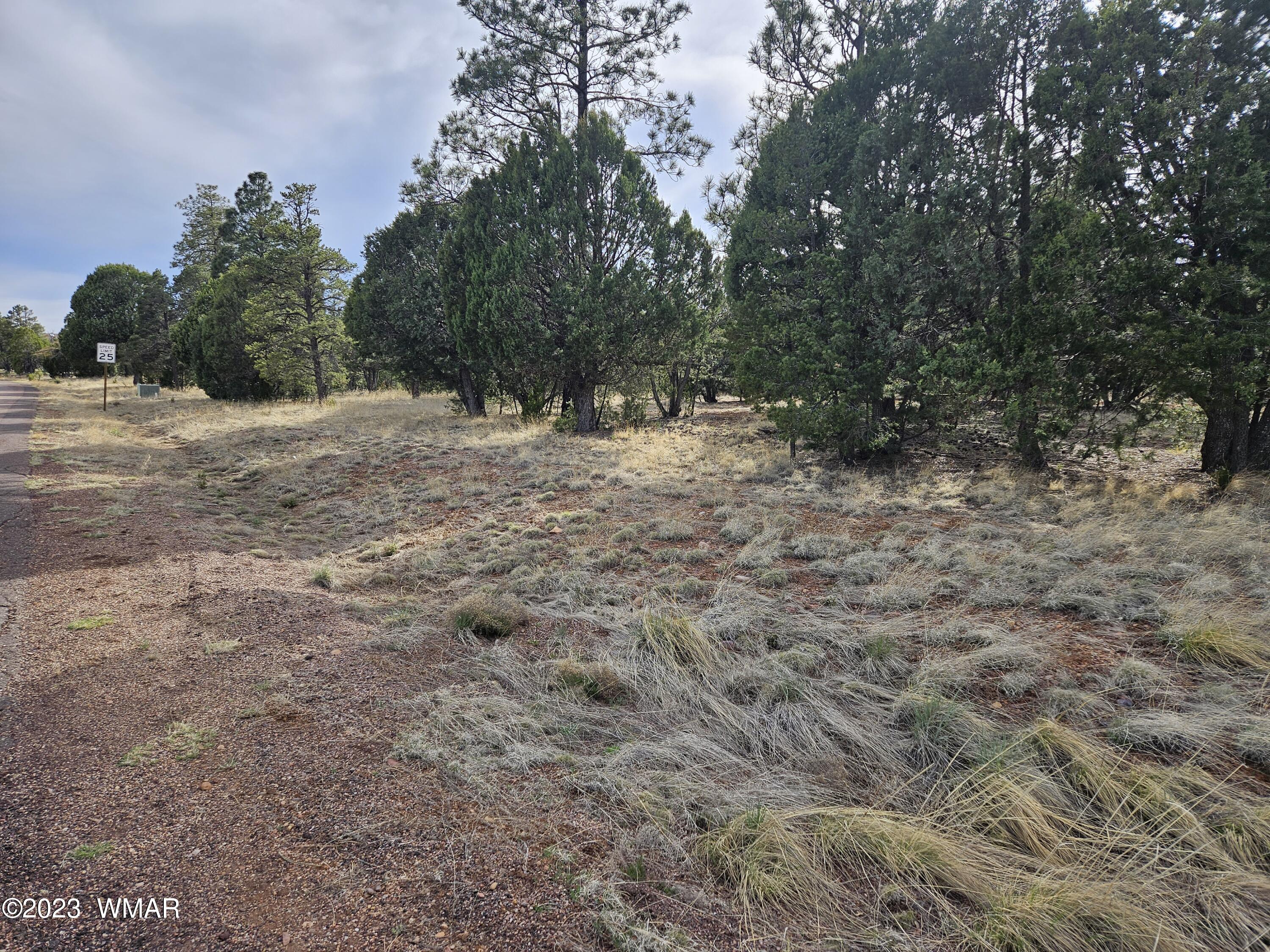 2870 Constellation Lane