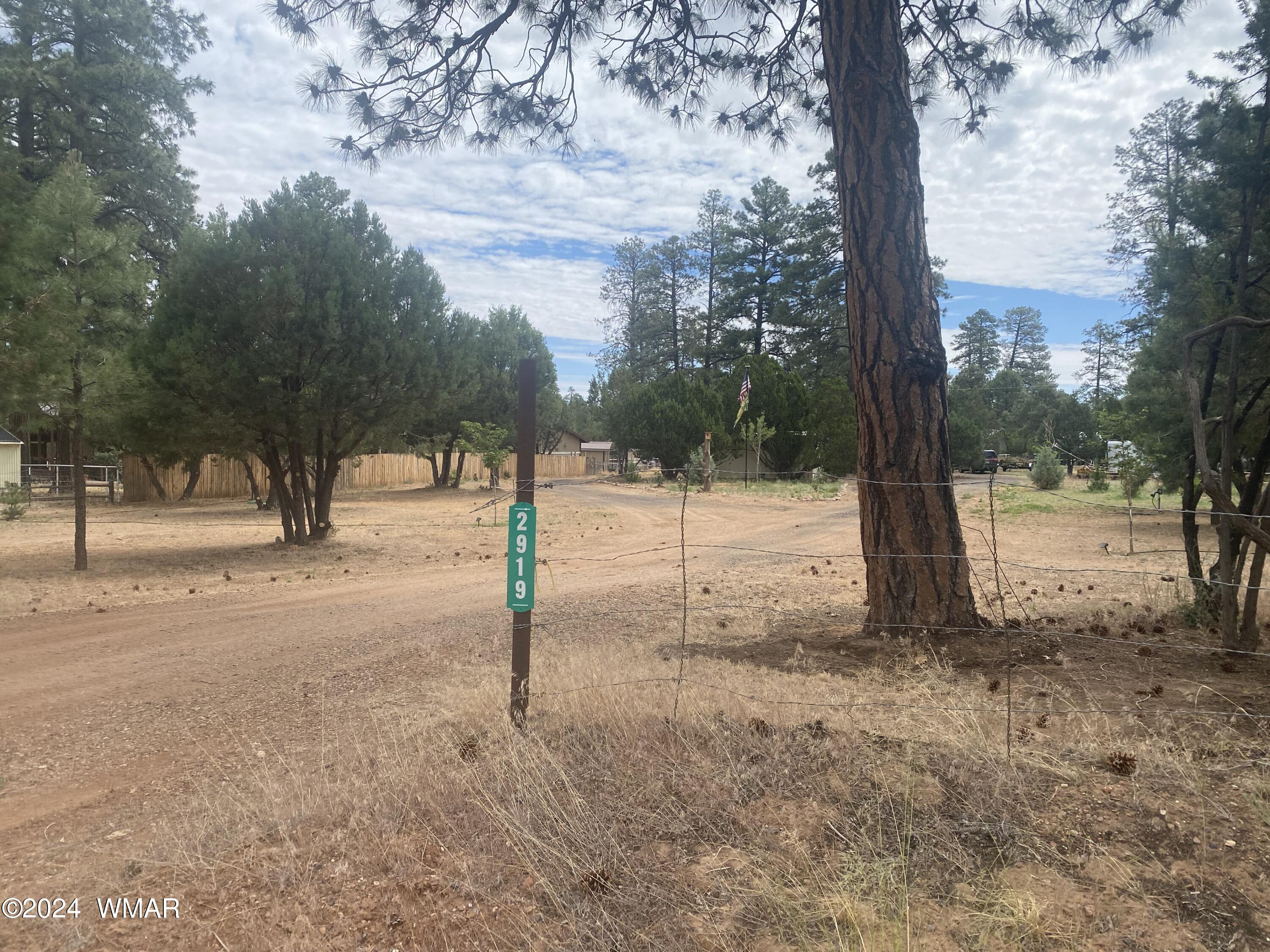 2919 Pine Rim Road