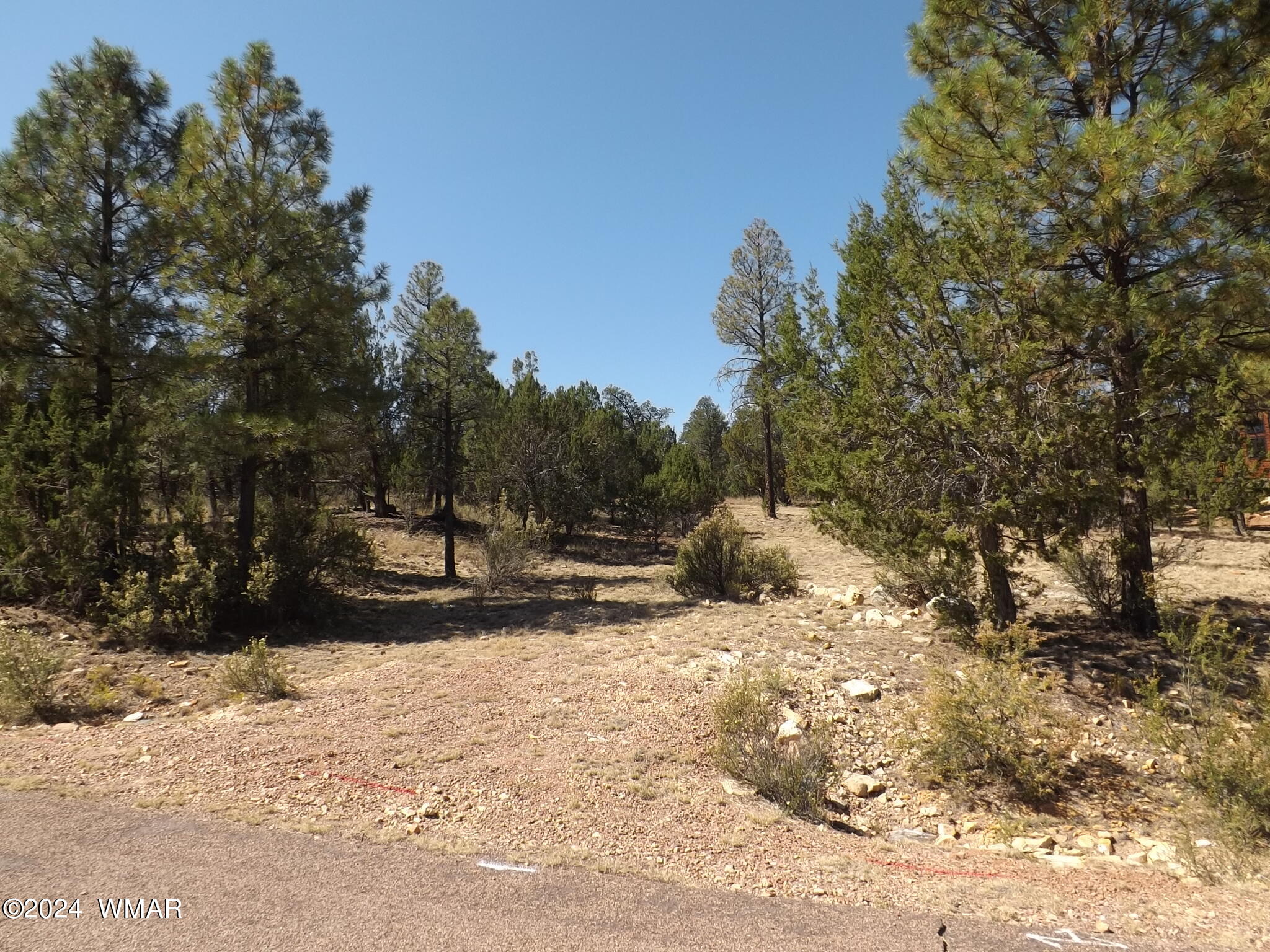 3332 Sawmill Ridge Loop