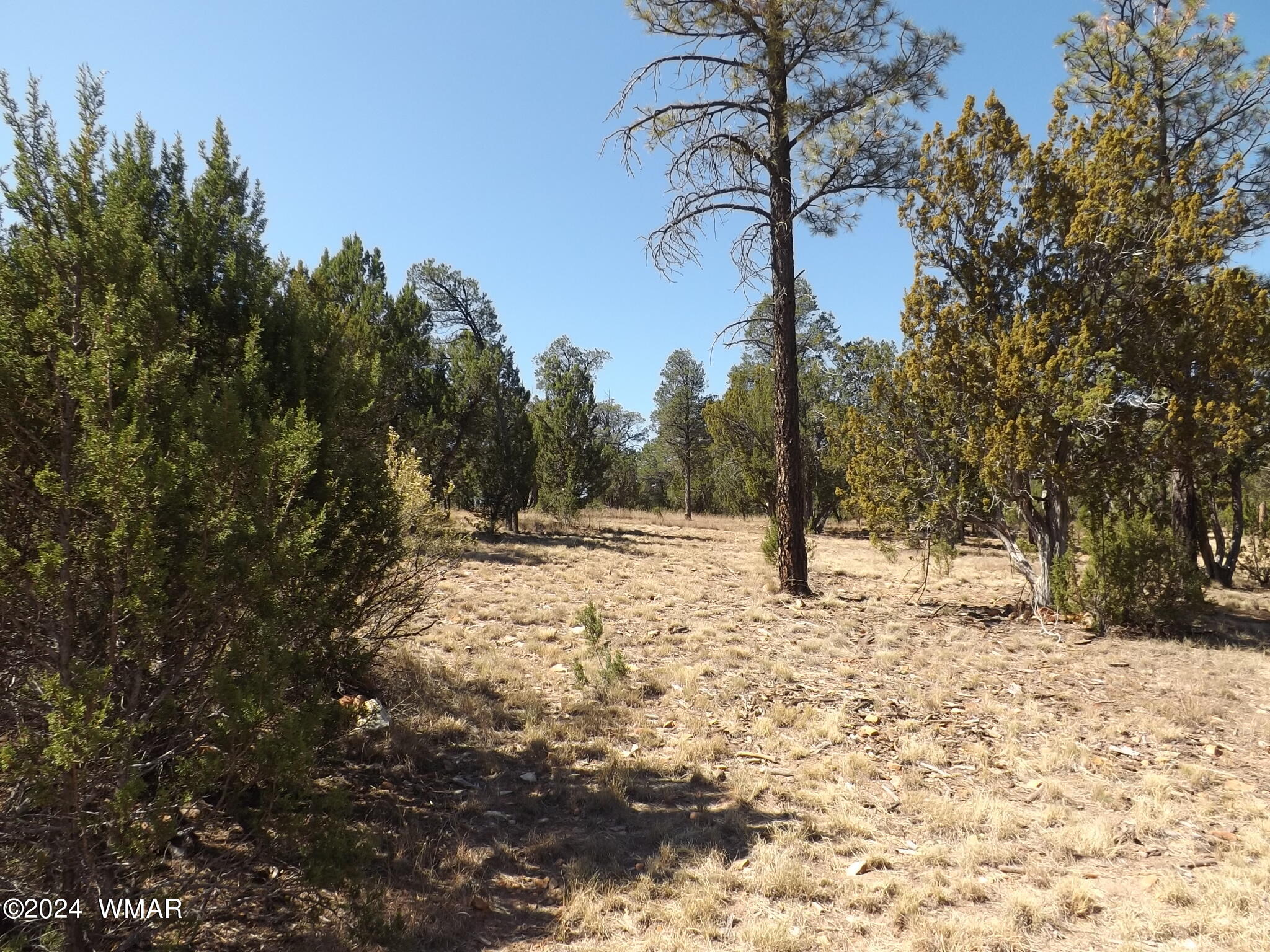 3332 Sawmill Ridge Loop