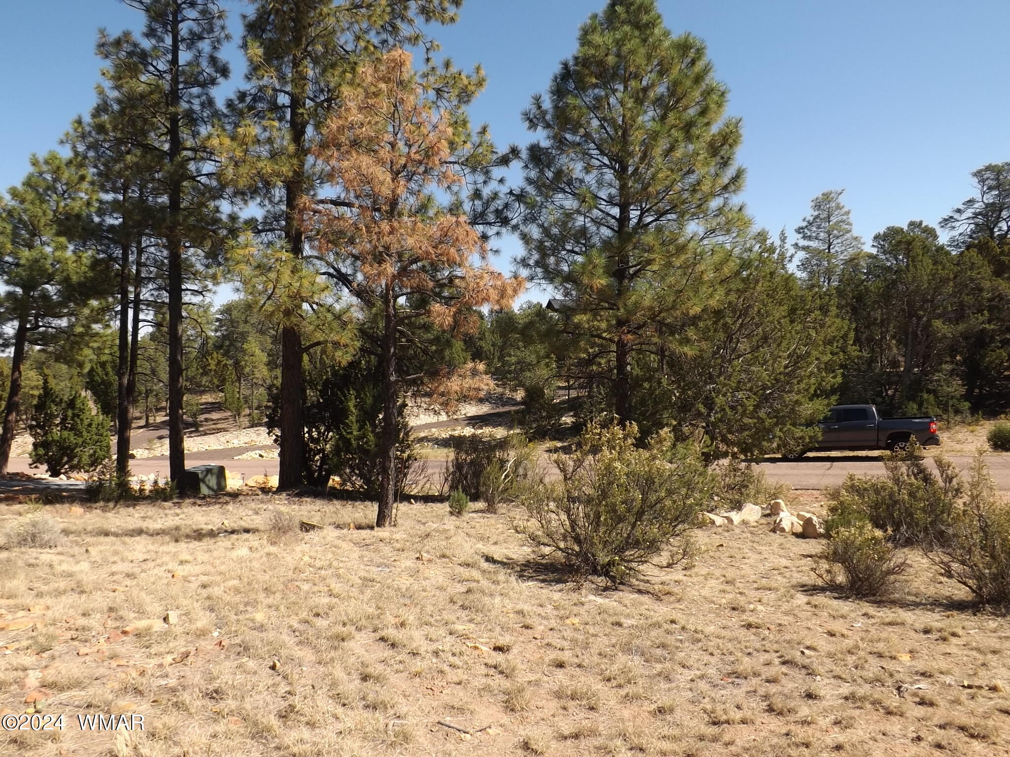 3332 Sawmill Ridge Loop