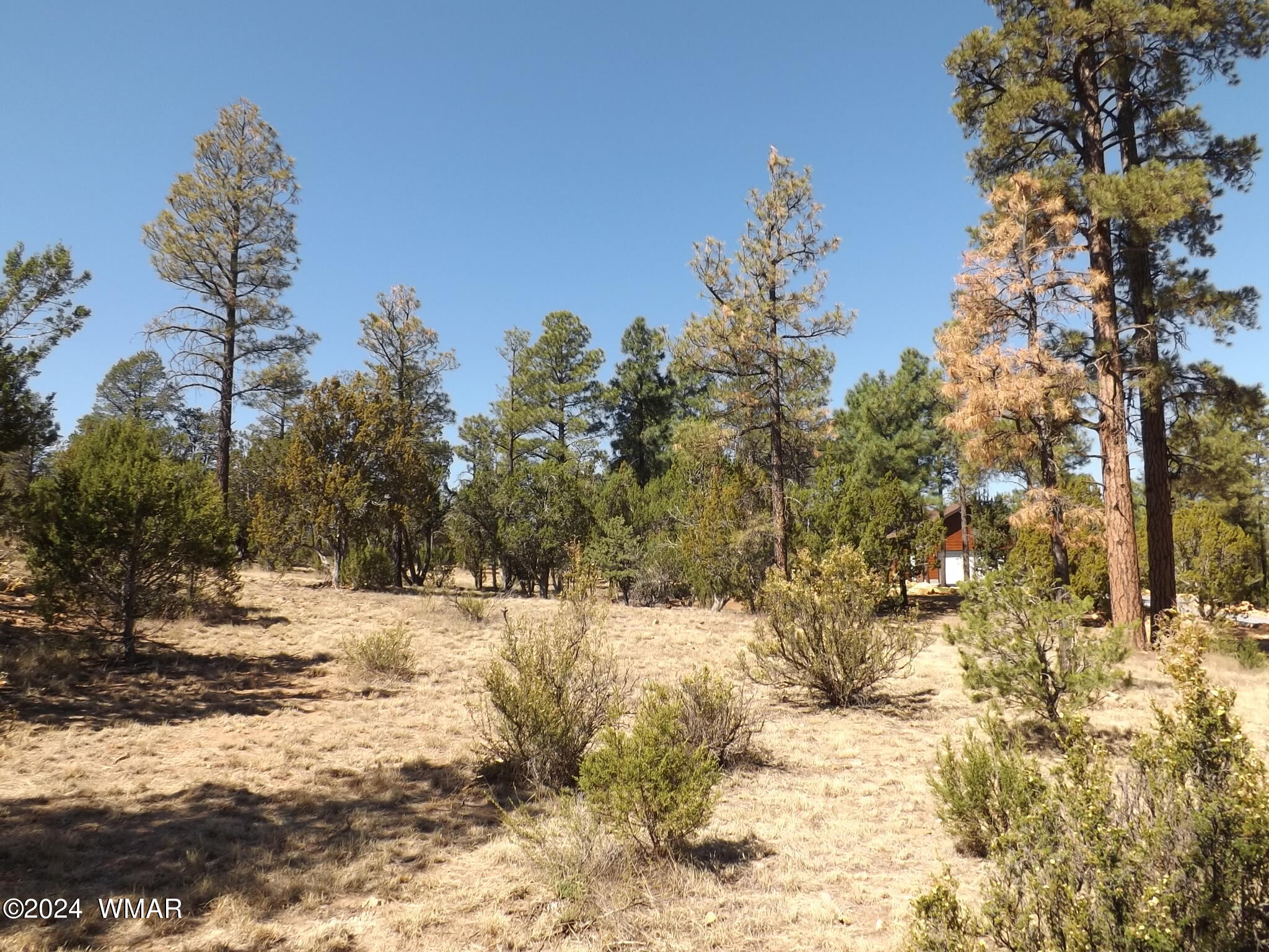 3332 Sawmill Ridge Loop