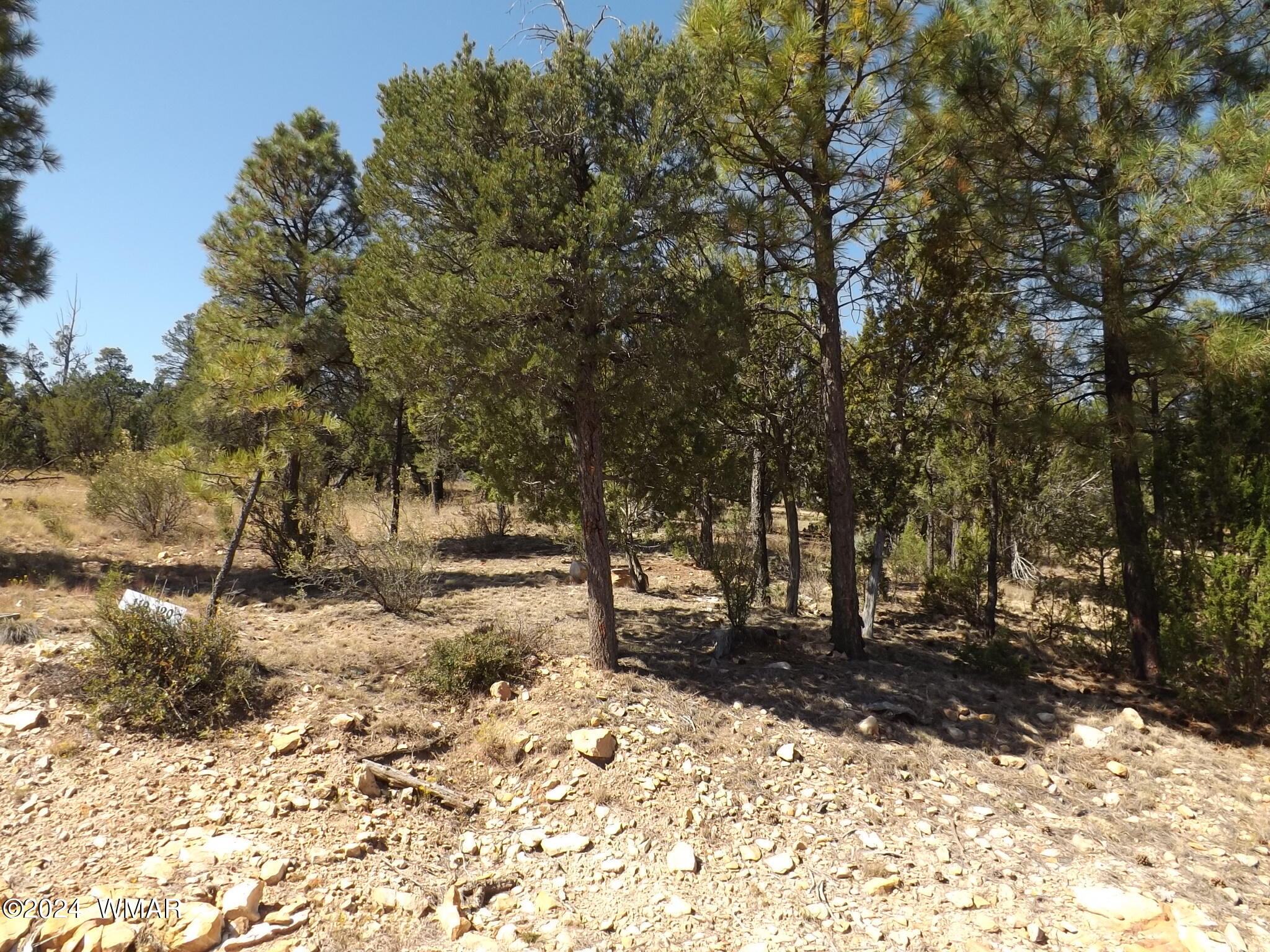 3332 Sawmill Ridge Loop