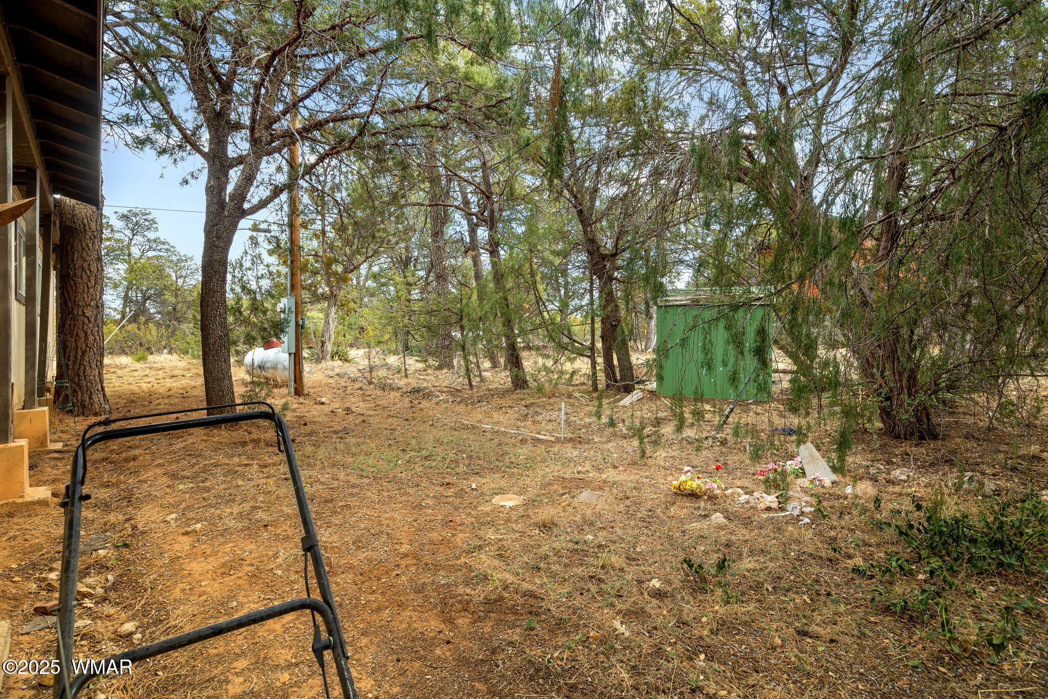2193 Lobo Trail