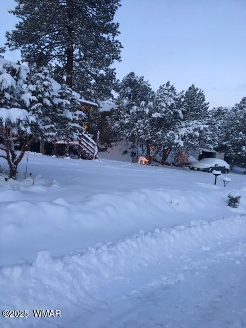 3424 Butts Lane, Heber