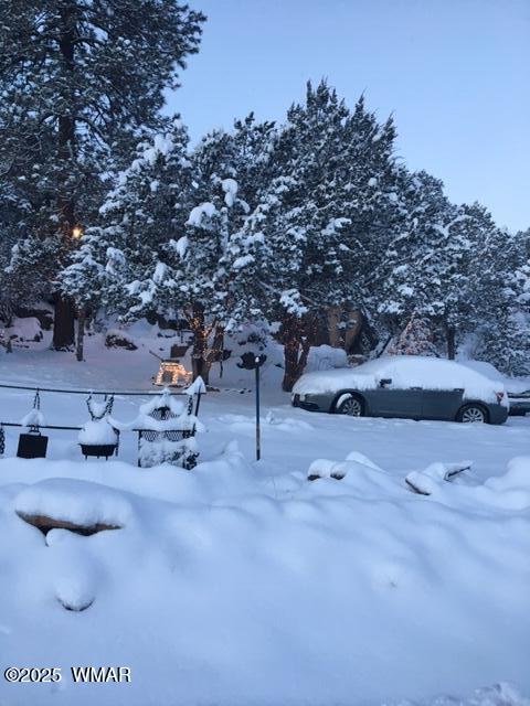 3424 Butts Lane, Heber