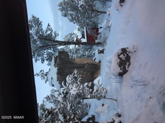 3424 Butts Lane, Heber