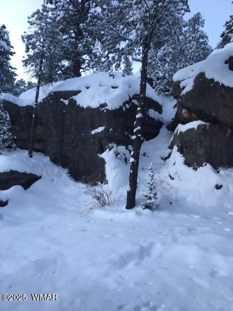 3424 Butts Lane, Heber