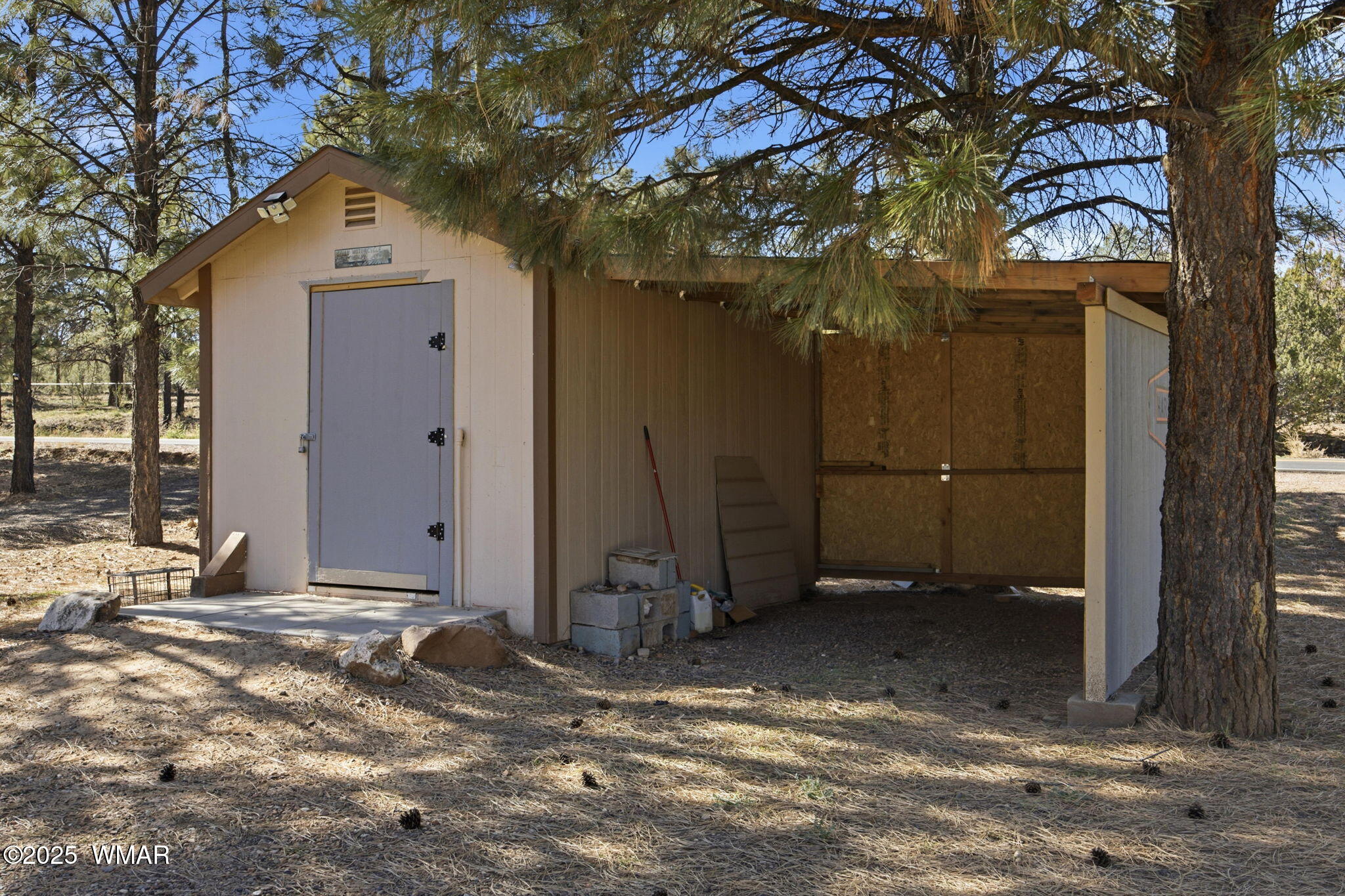 3381 Mogollon Drive