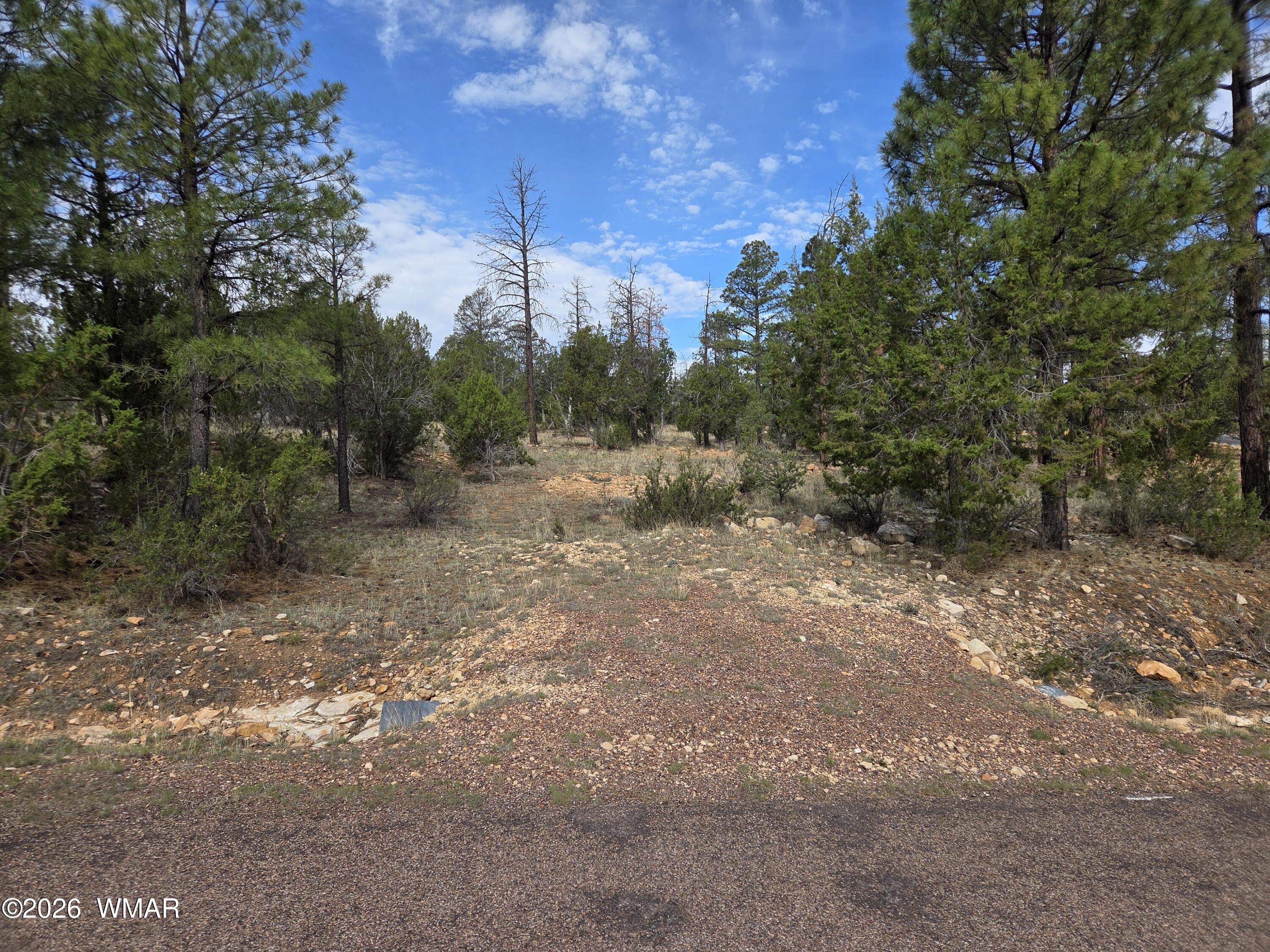 3332 Sawmill Ridge Loop