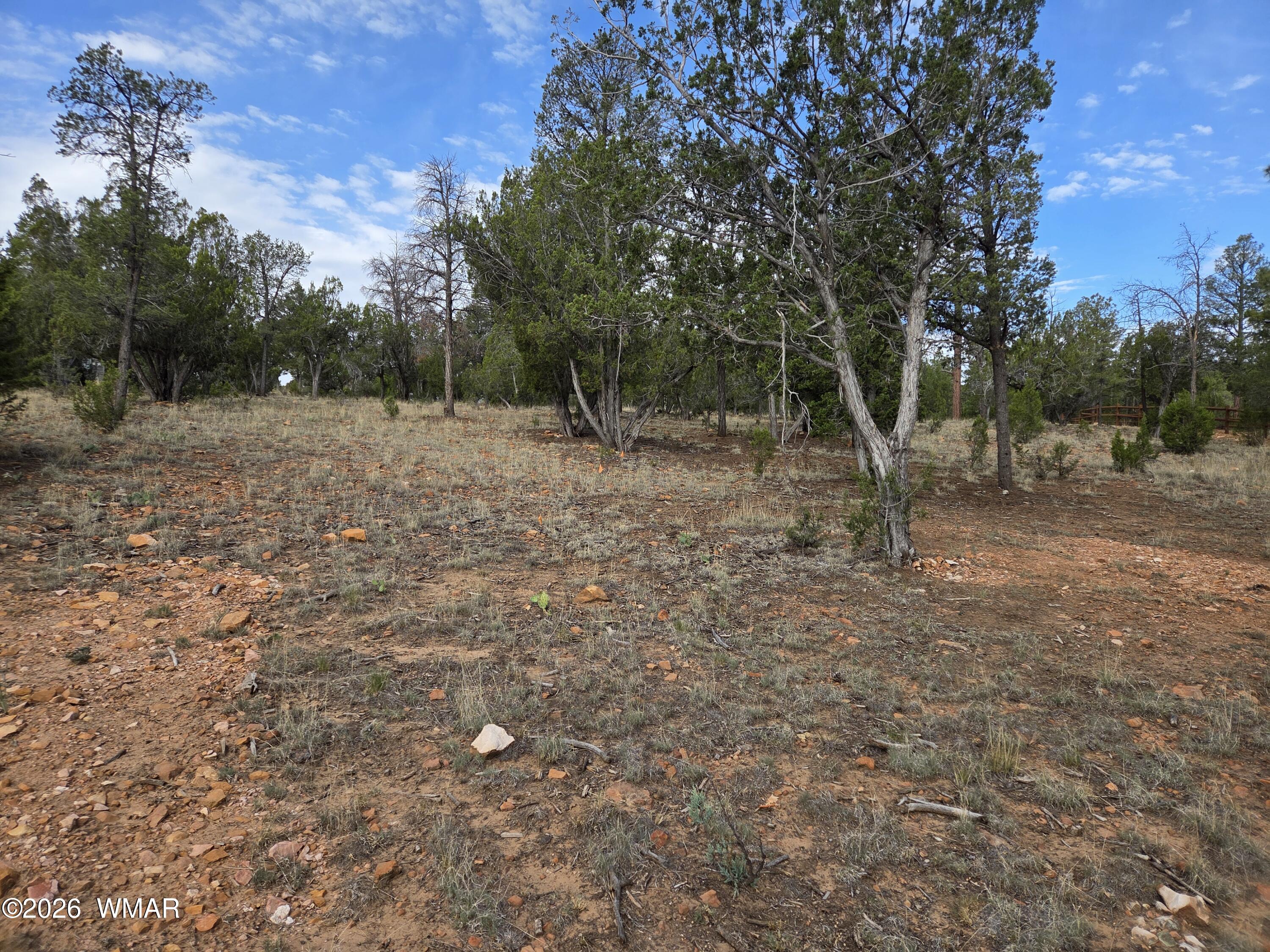 3332 Sawmill Ridge Loop