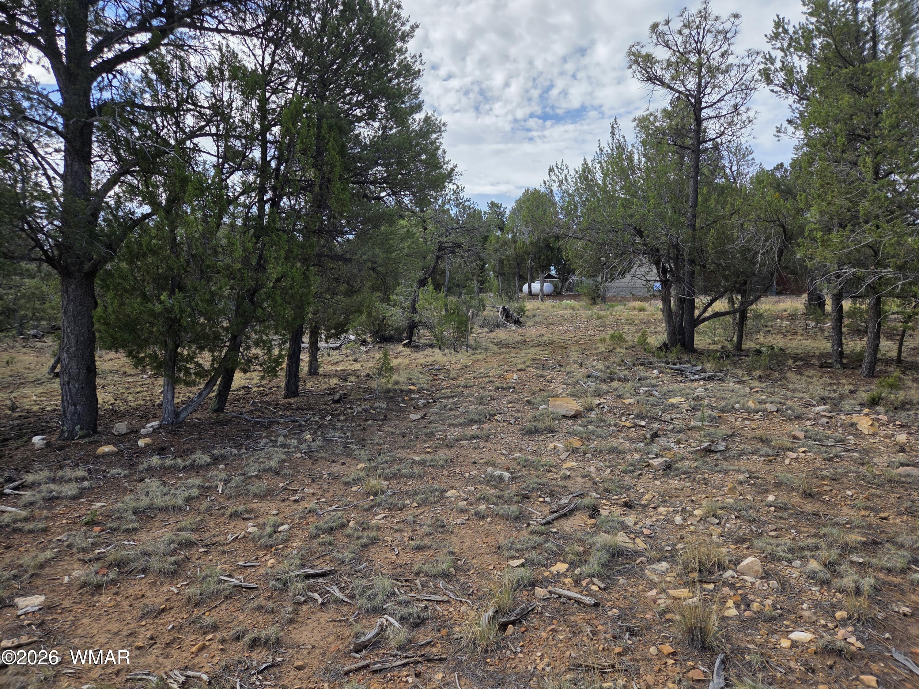 3332 Sawmill Ridge Loop